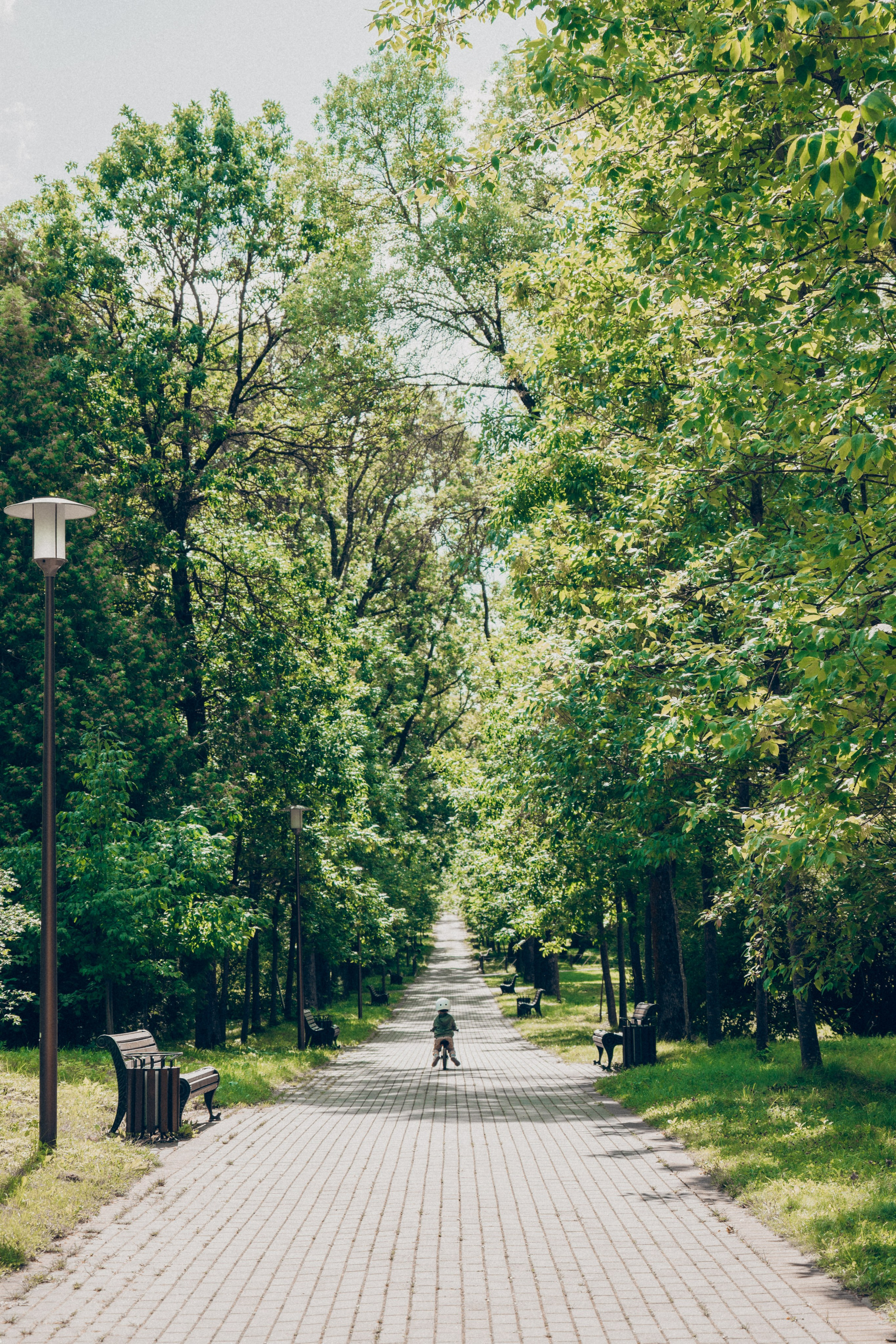 Прогулка в ботаническом саду