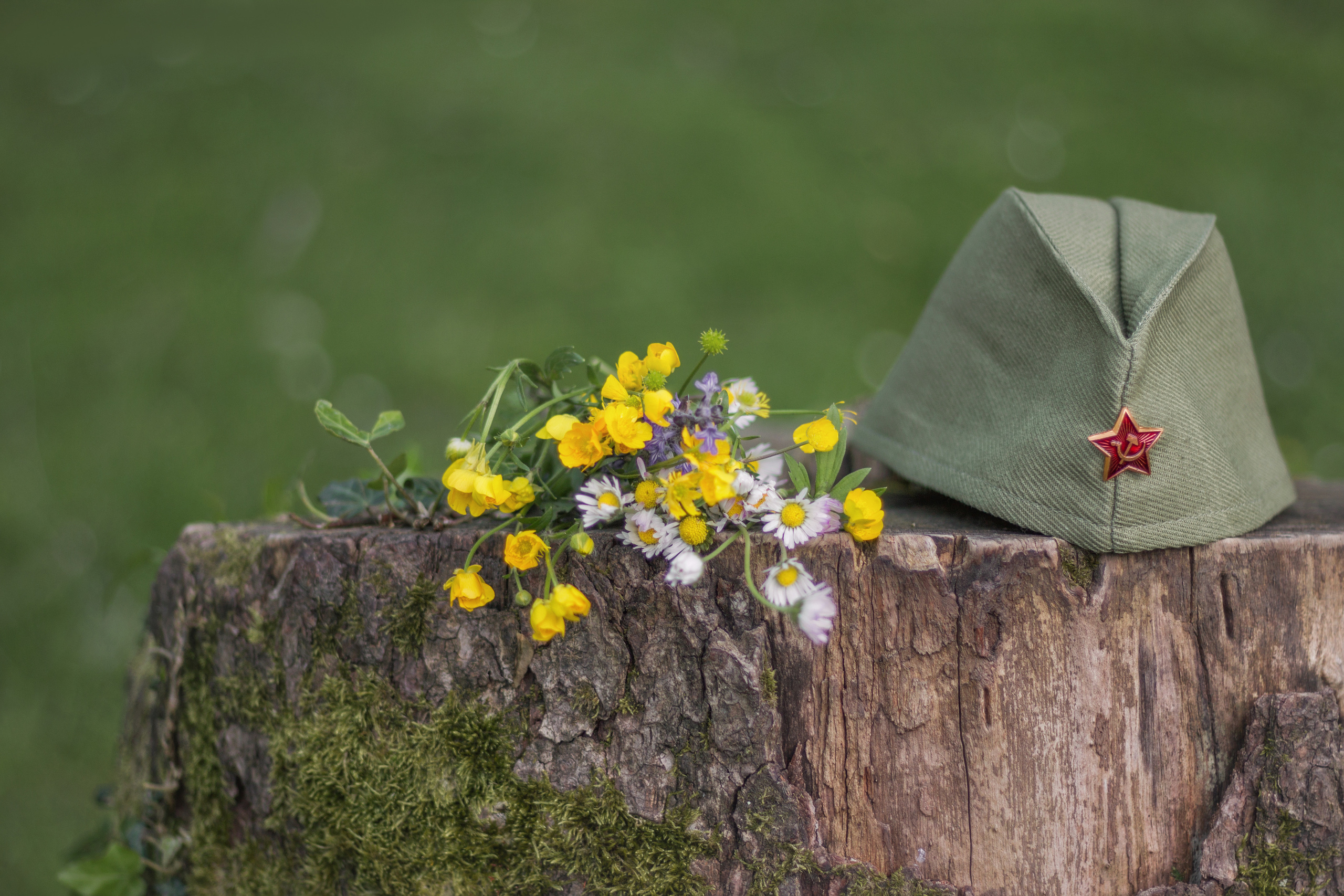 Фотосессия ко Дню Победы. Женский, детский и семейный фотограф в Сочи Олеся Помогалова