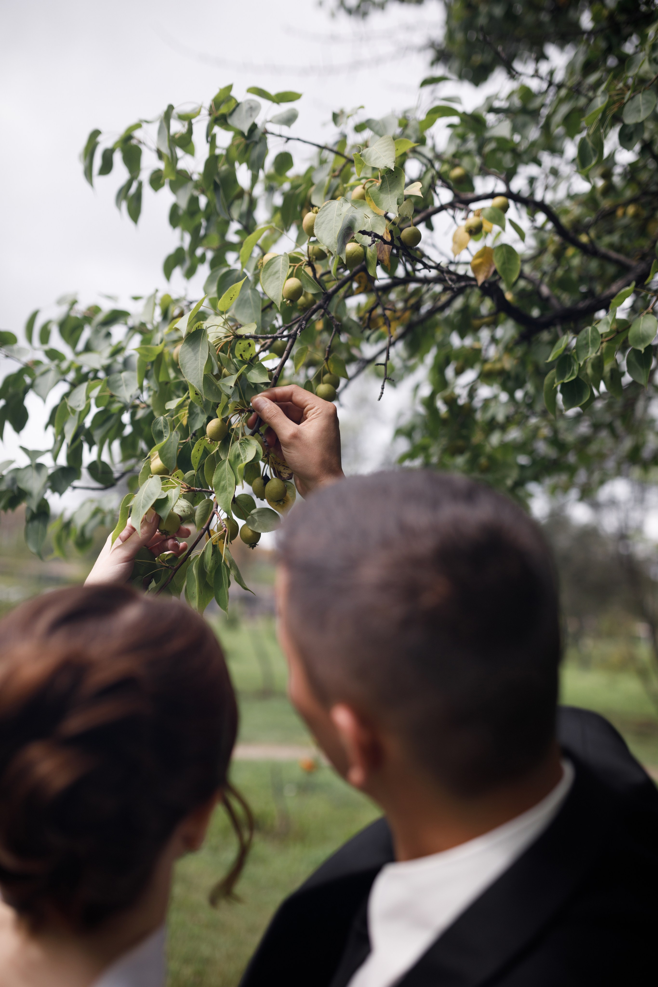 Свадьба Николая и Ксении. Wedding and family photographer Iana Lia