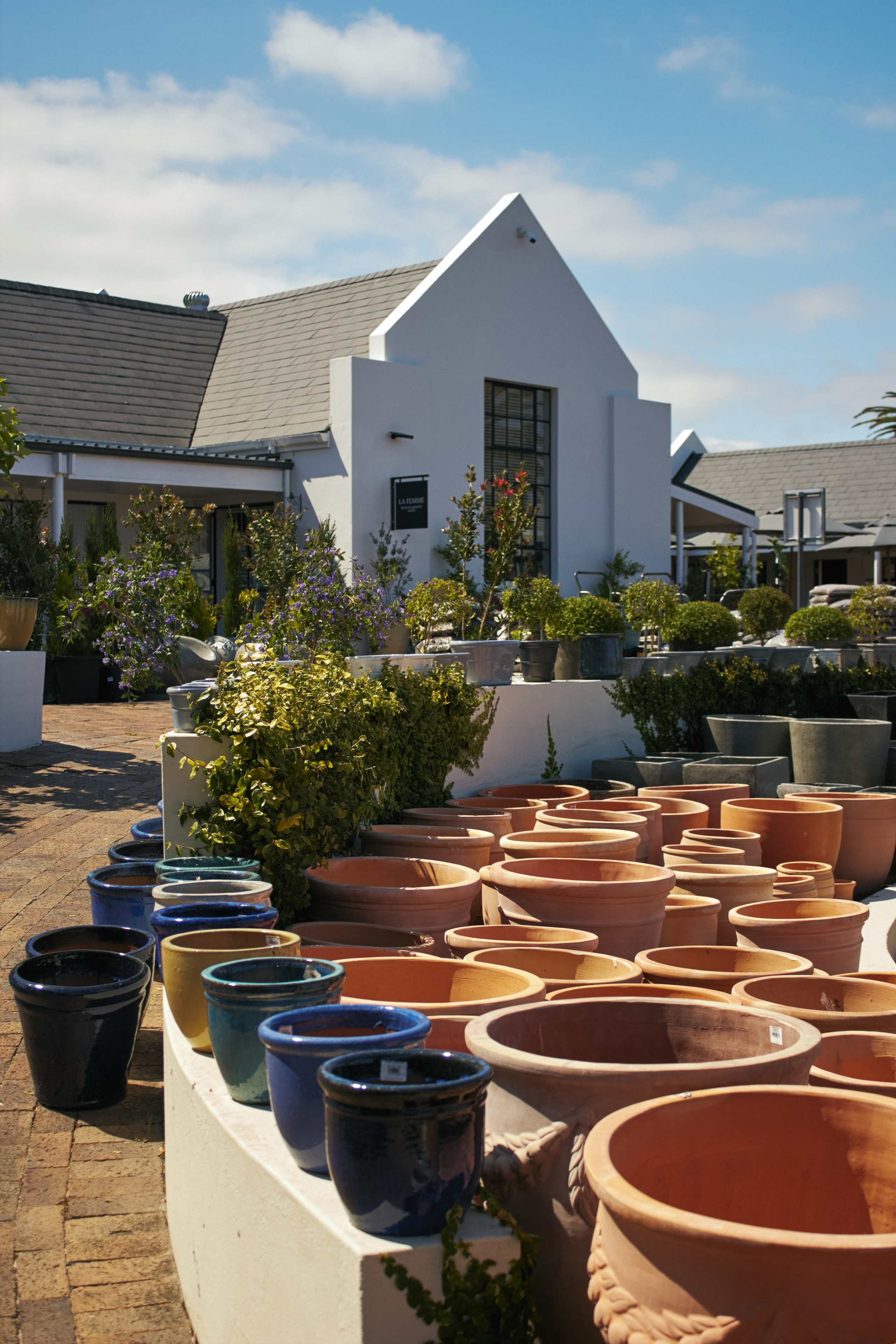 ЮАР. Профессиональный Фотограф во Владимире, в Москве и в Суздале — Полина Романычева