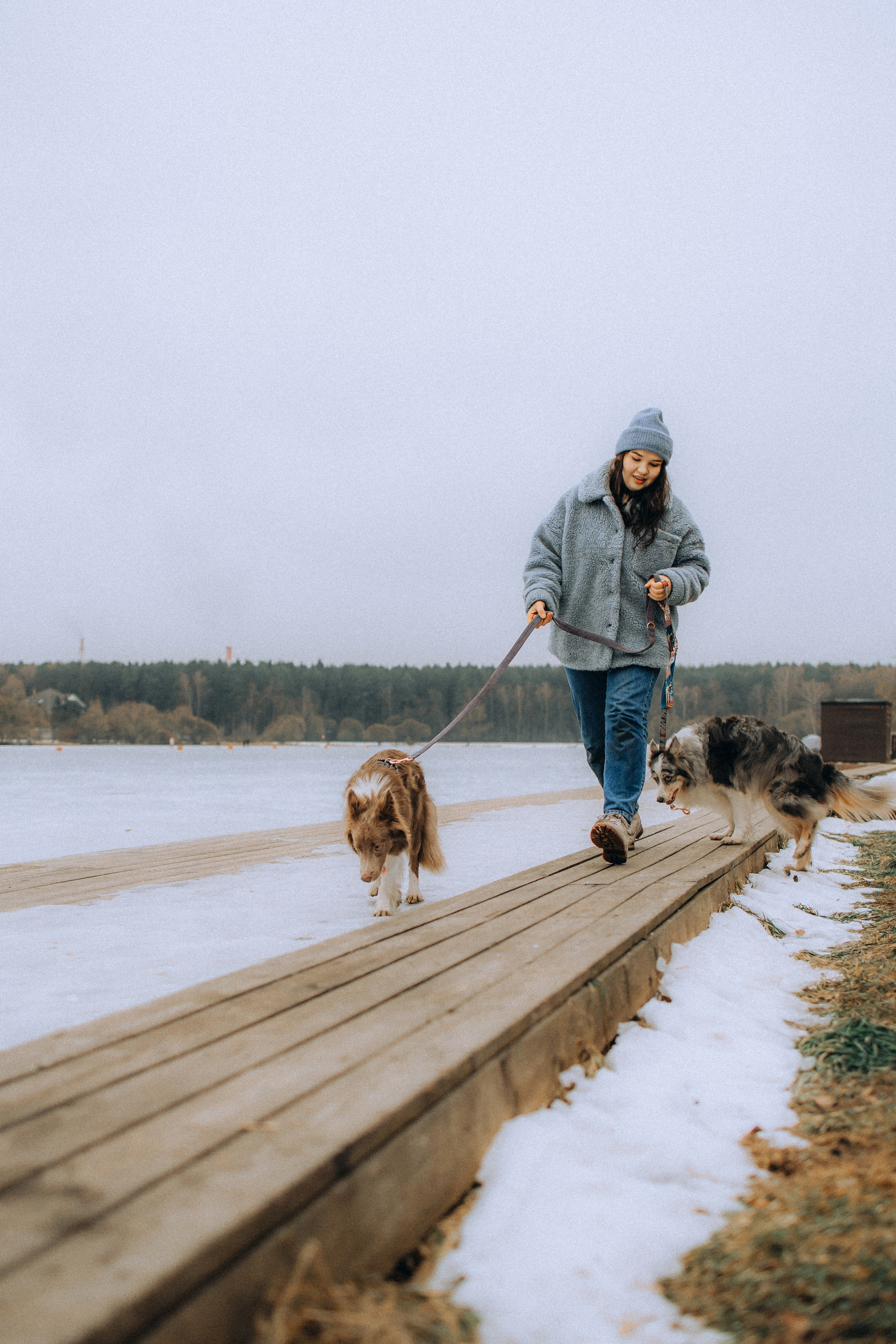Полина, Милли и Паддингтон