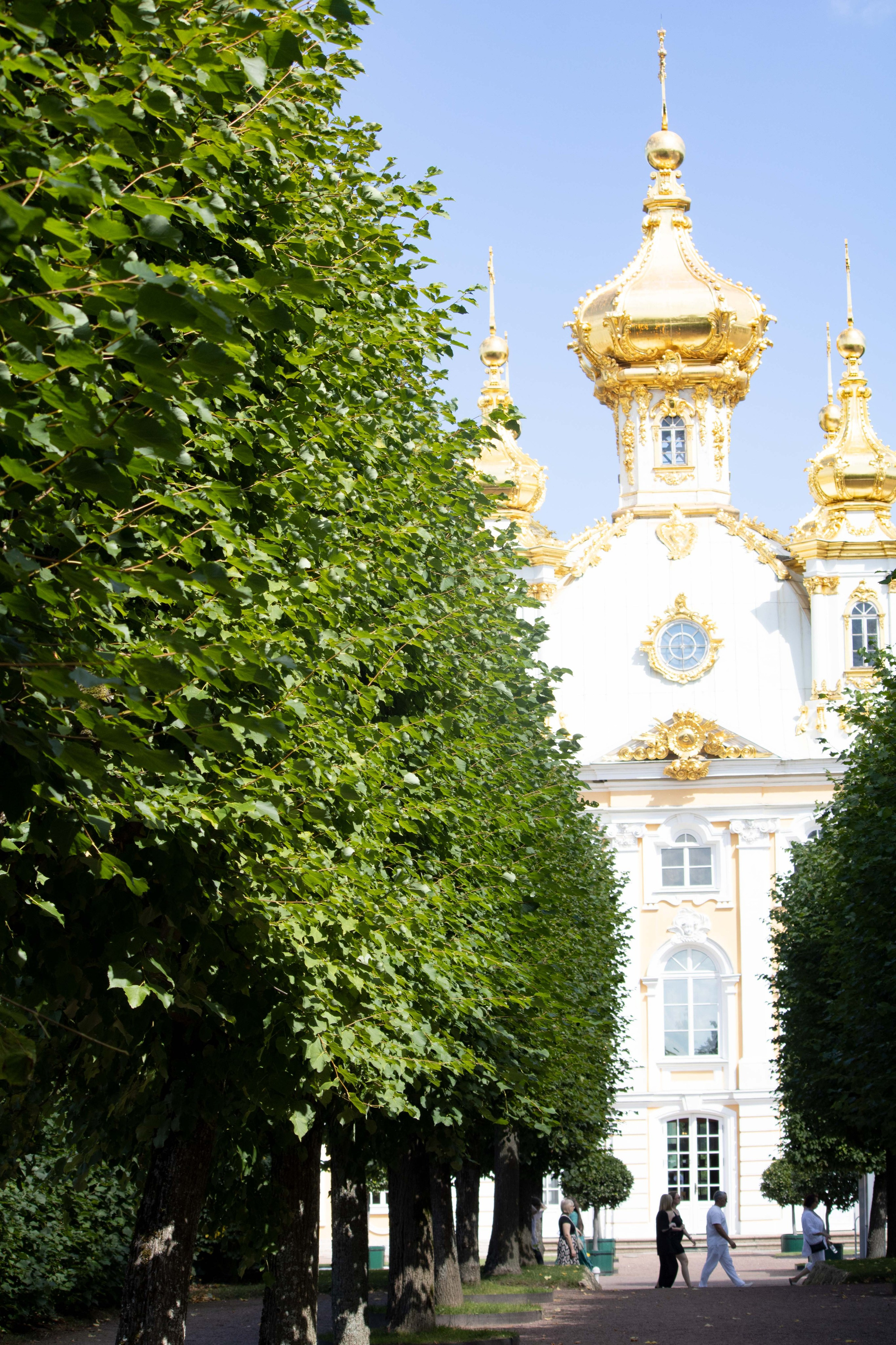 Верхний сад,  Петергоф