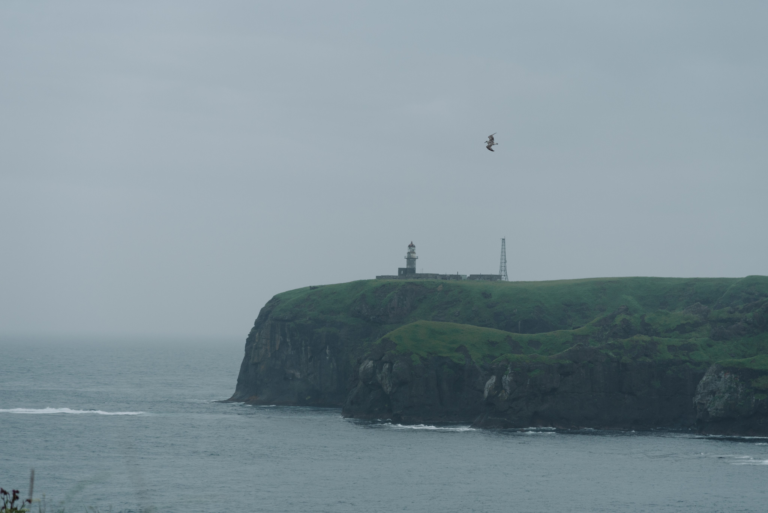 Сахалин и Курильские острова. Фотограф Алиса Калинина