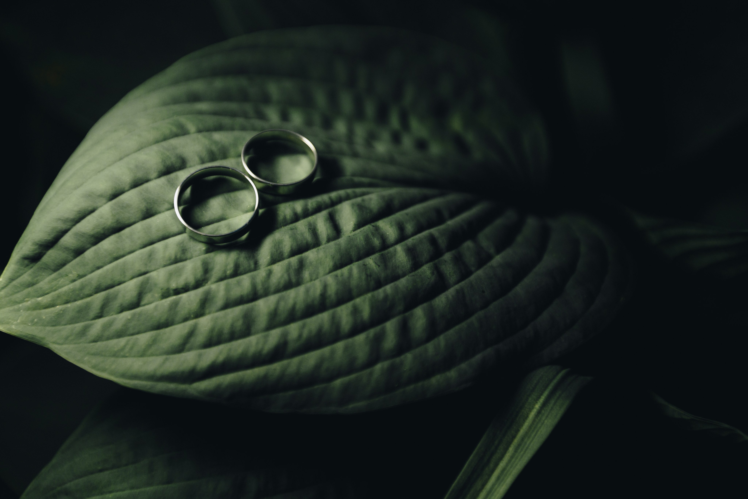 В+В. Свадебный семейный фотограф и видеограф Гомель Минск Беларусь Европа