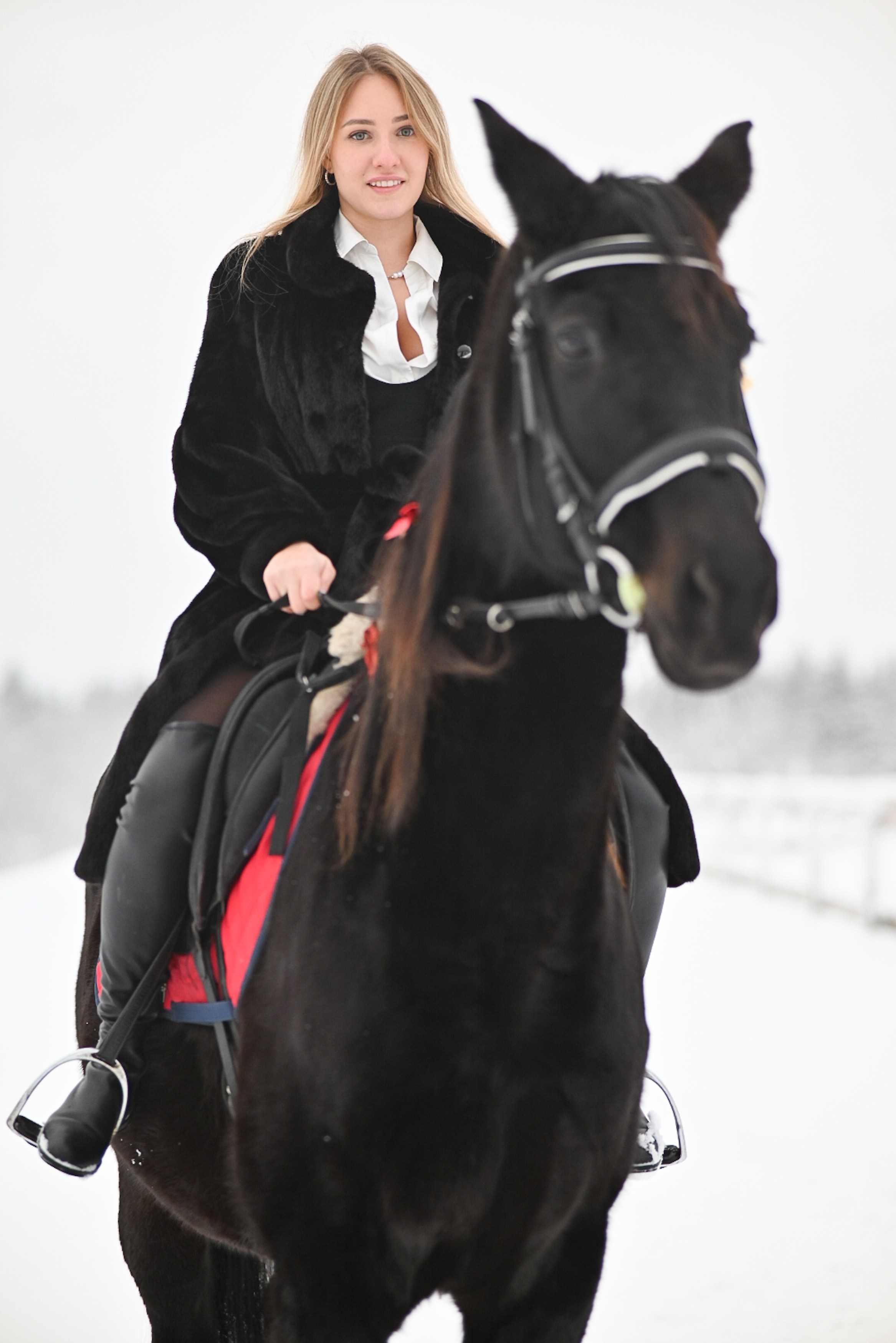 King. LifeStyle фотограф Анна Воробьёва Санкт-Петербург