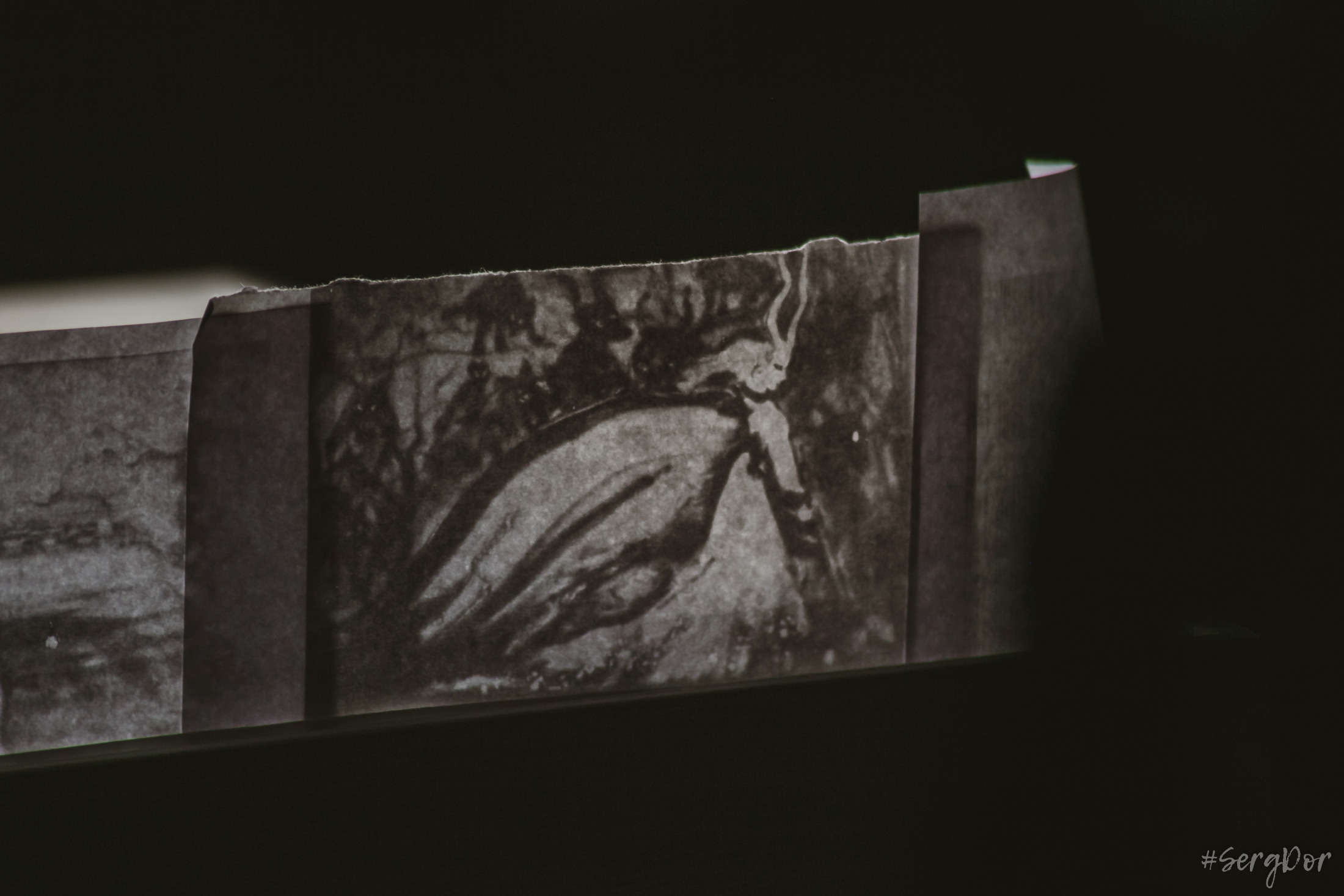 Александра Нефертити. Всё песок…. Фотограф Сергей Дорошенко