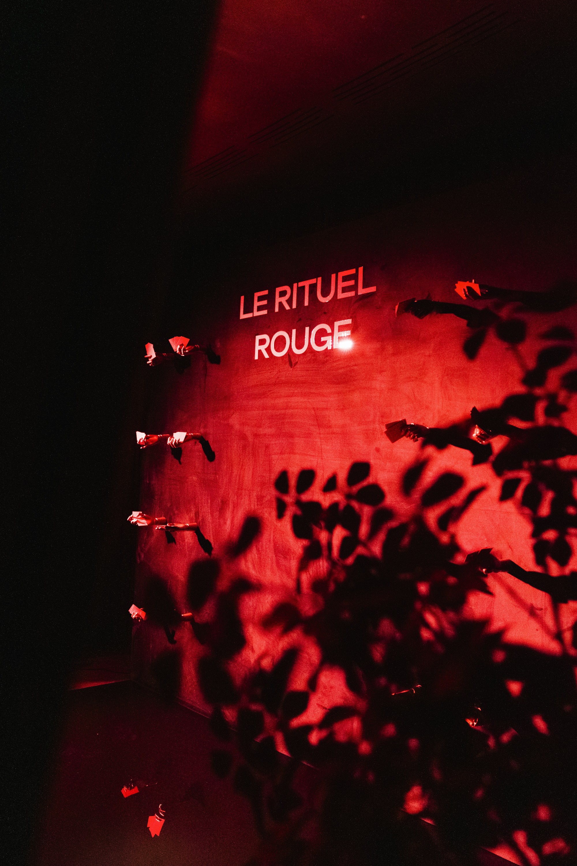 Le Rituel Rouge. Саша Север | Фотограф СПб