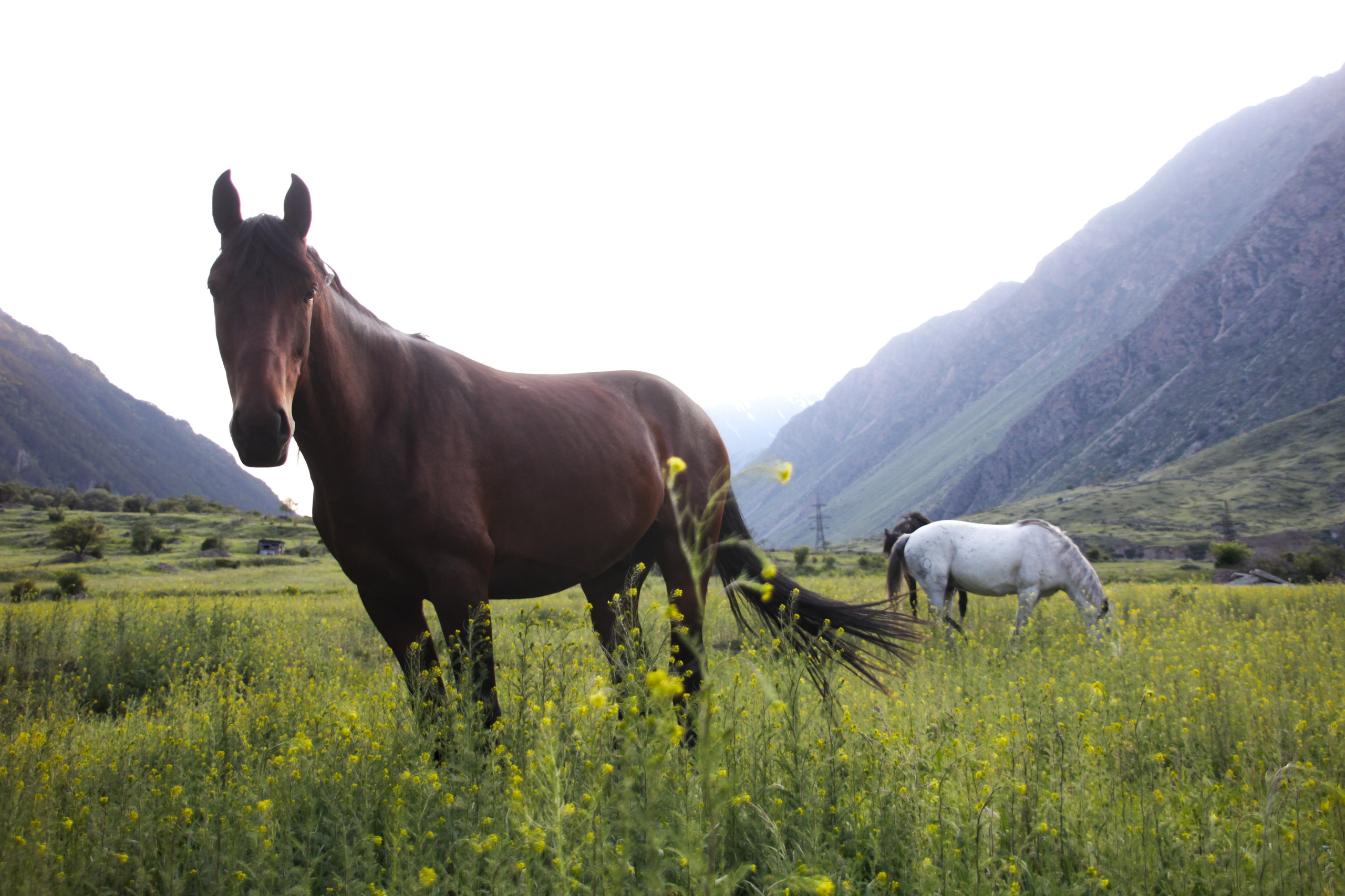 Природа. Фотограф Котий Даниил