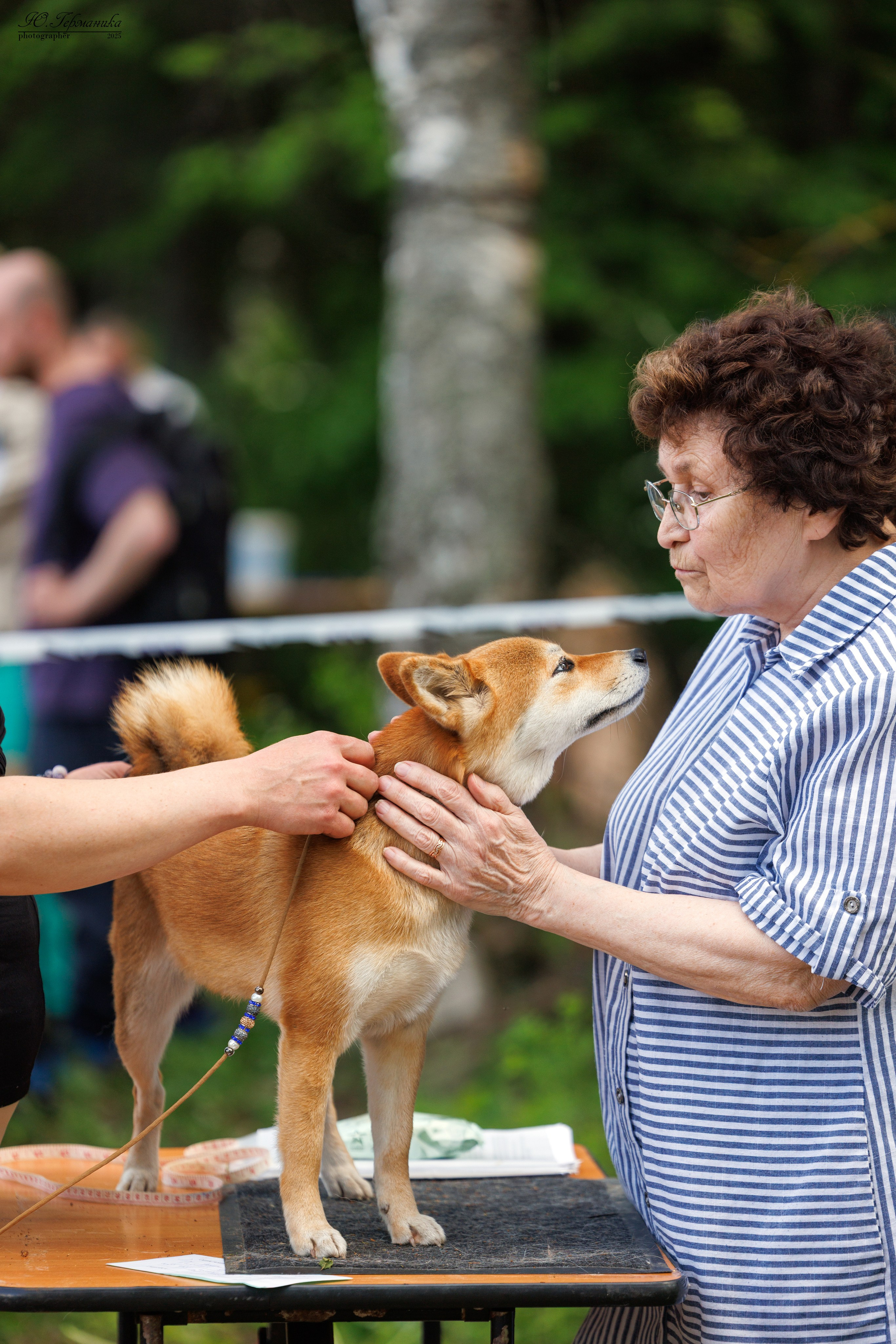Тверь 24.05.2025. Фотограф-анималист Юлия Германика