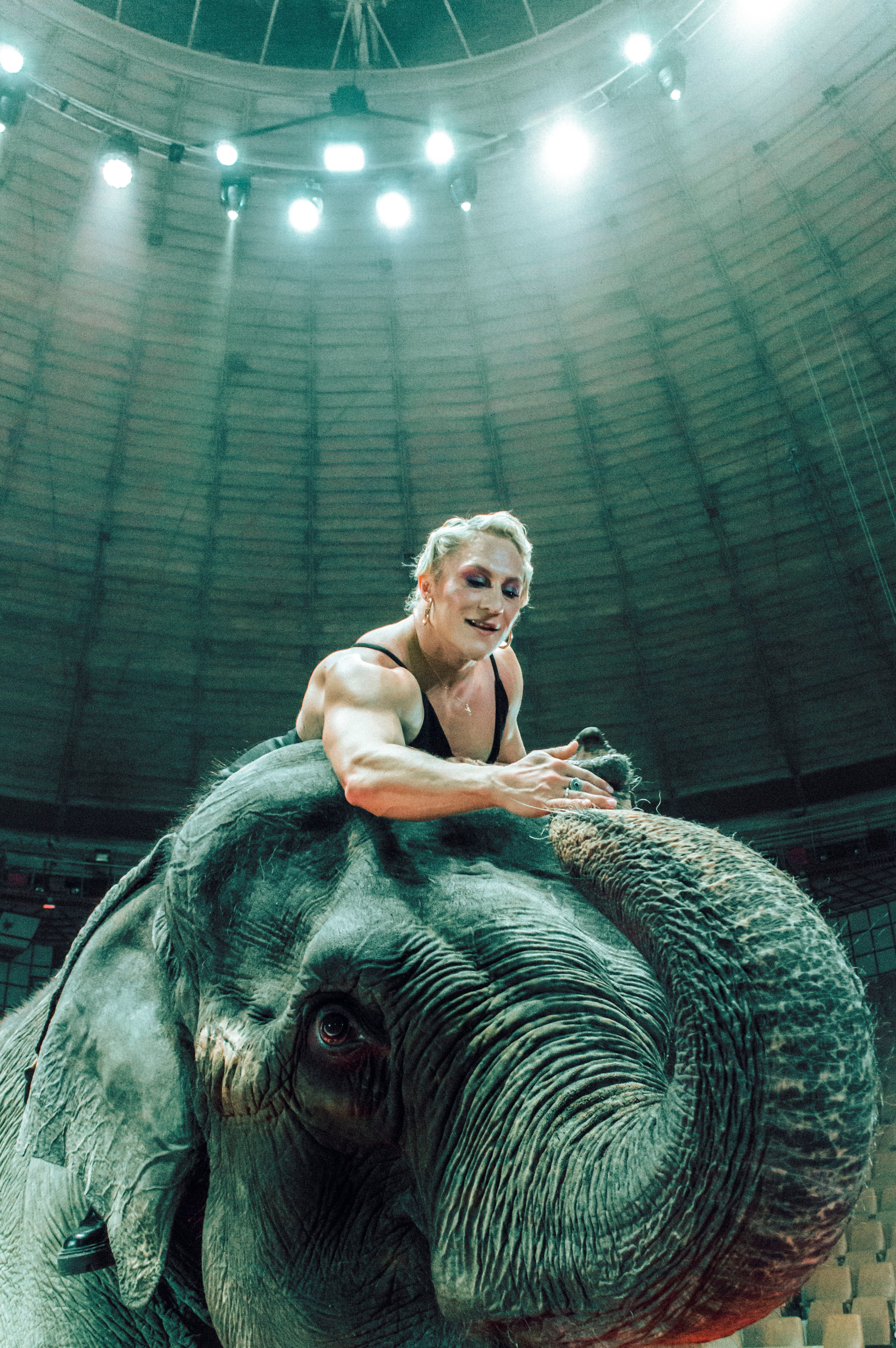 Екатерина. Главная