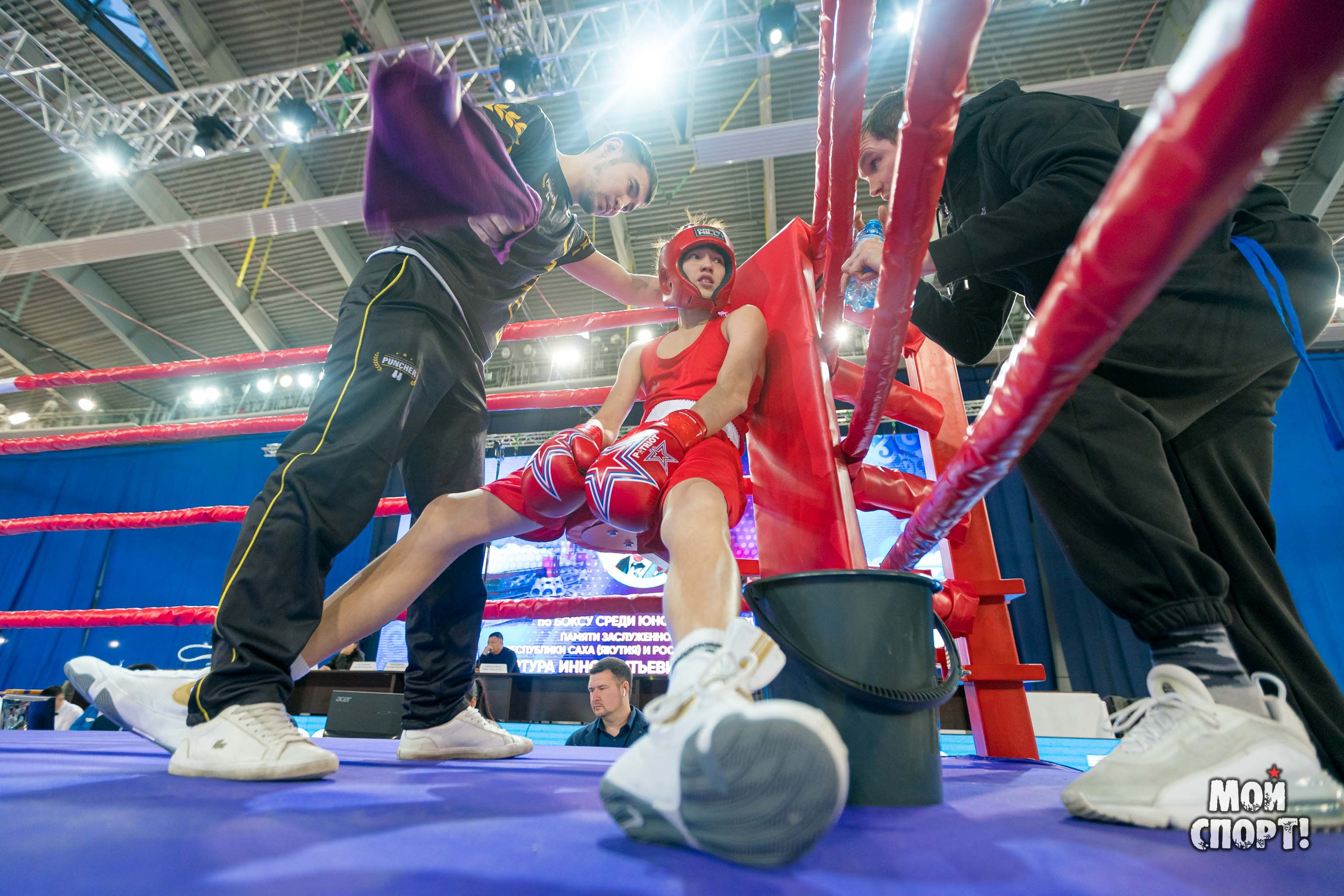 Открытый Всероссийский Турнир по боксу пам. А. И. Пахомова. Студия «Мой Спорт!» — все о спорте в Якутии