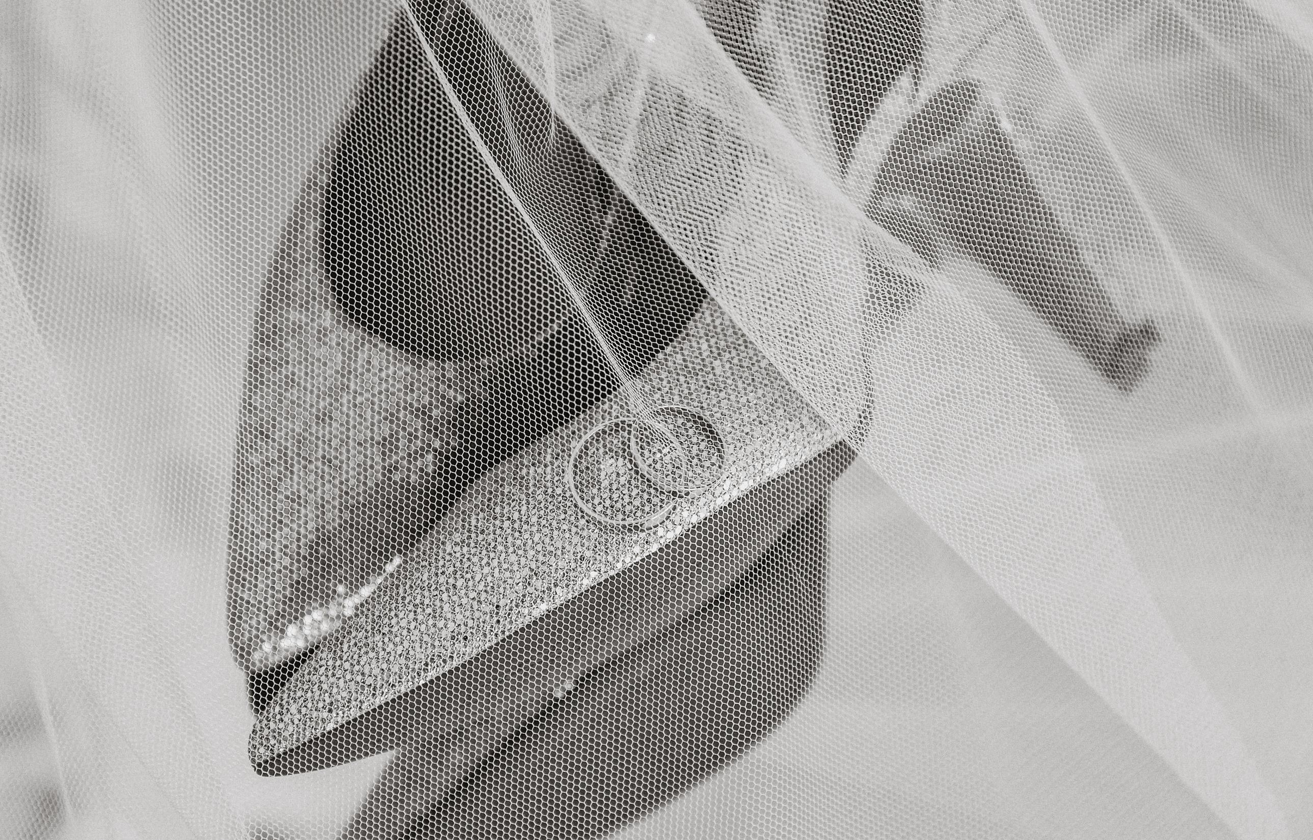 Birds. Алина Малышева, свадебный и семейный фотограф Москва