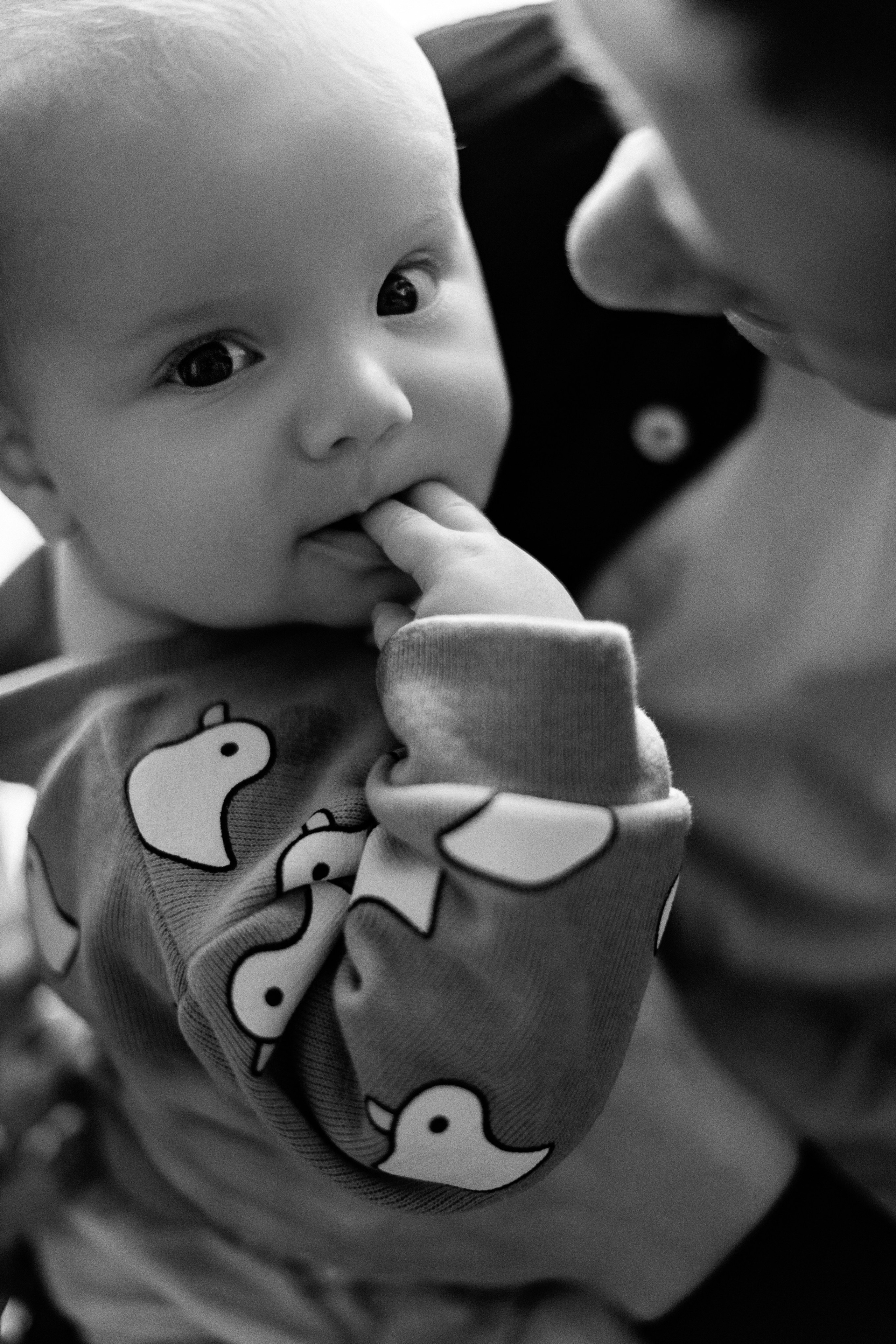 Аня и Кирилл. Свадебный фотограф в Санкт-Петербурге София Шубик