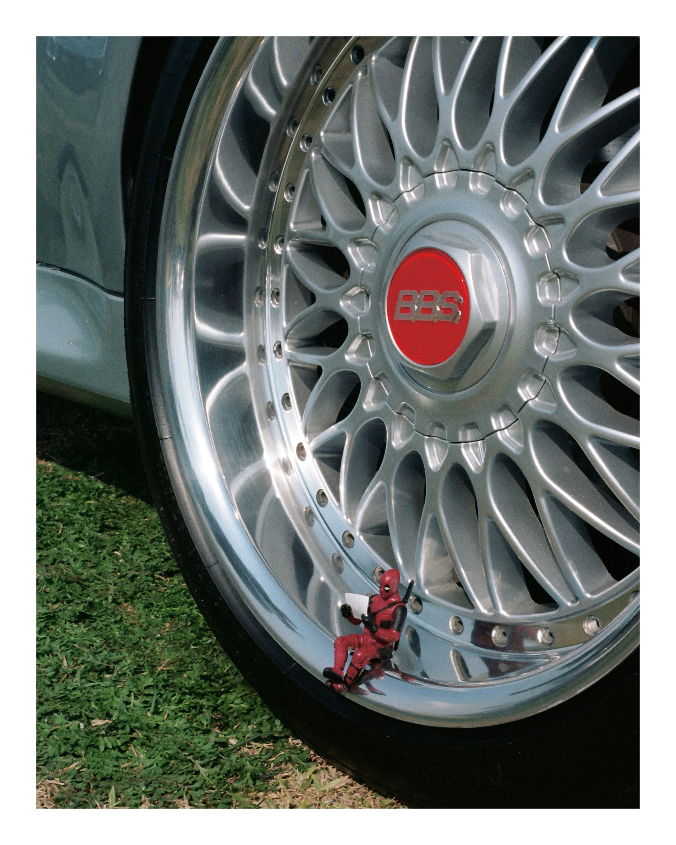 The Grand Picnic (35мм). Katyavasileva