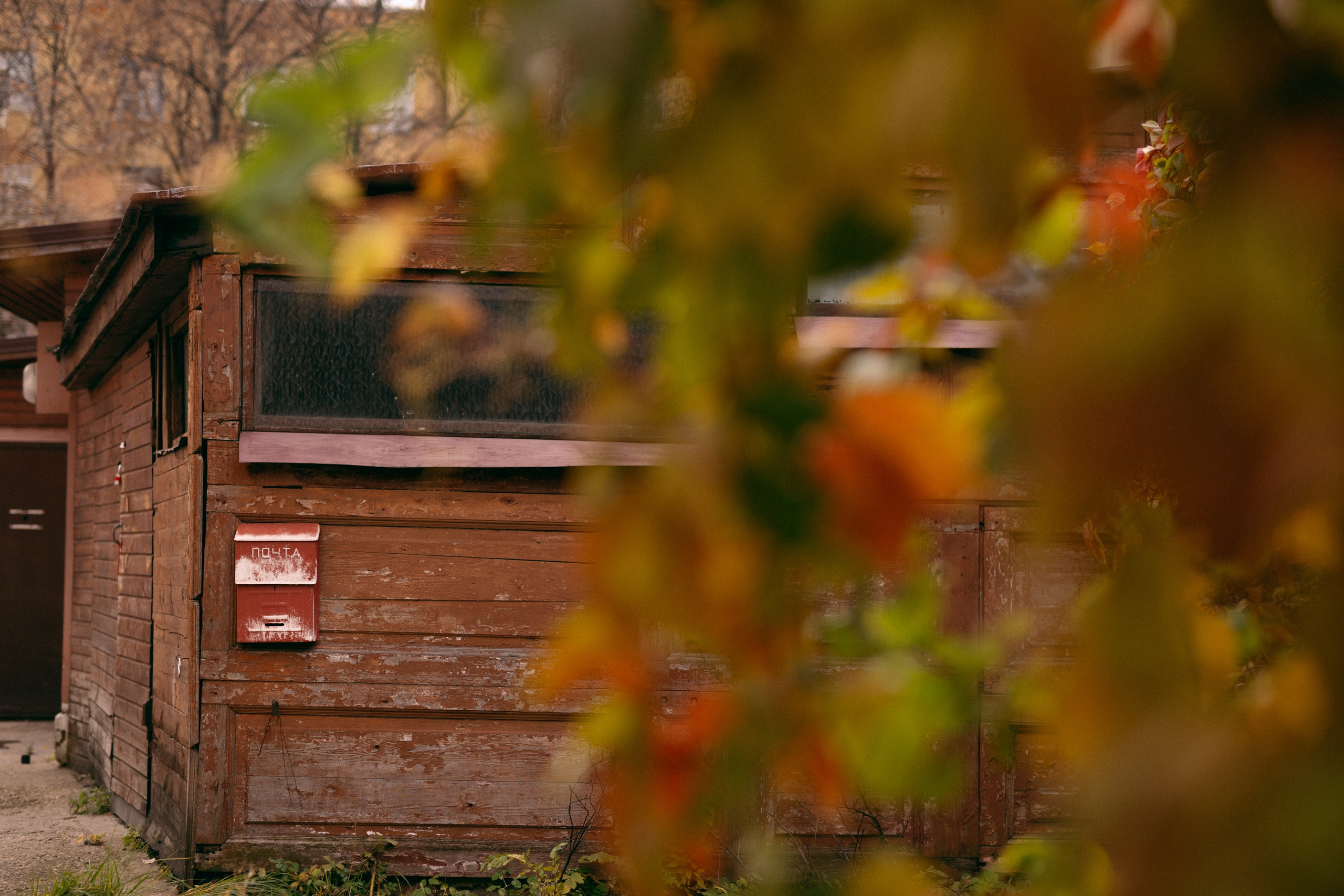 Золотая осень. Варвара Синицына: семейный фотограф в Москве