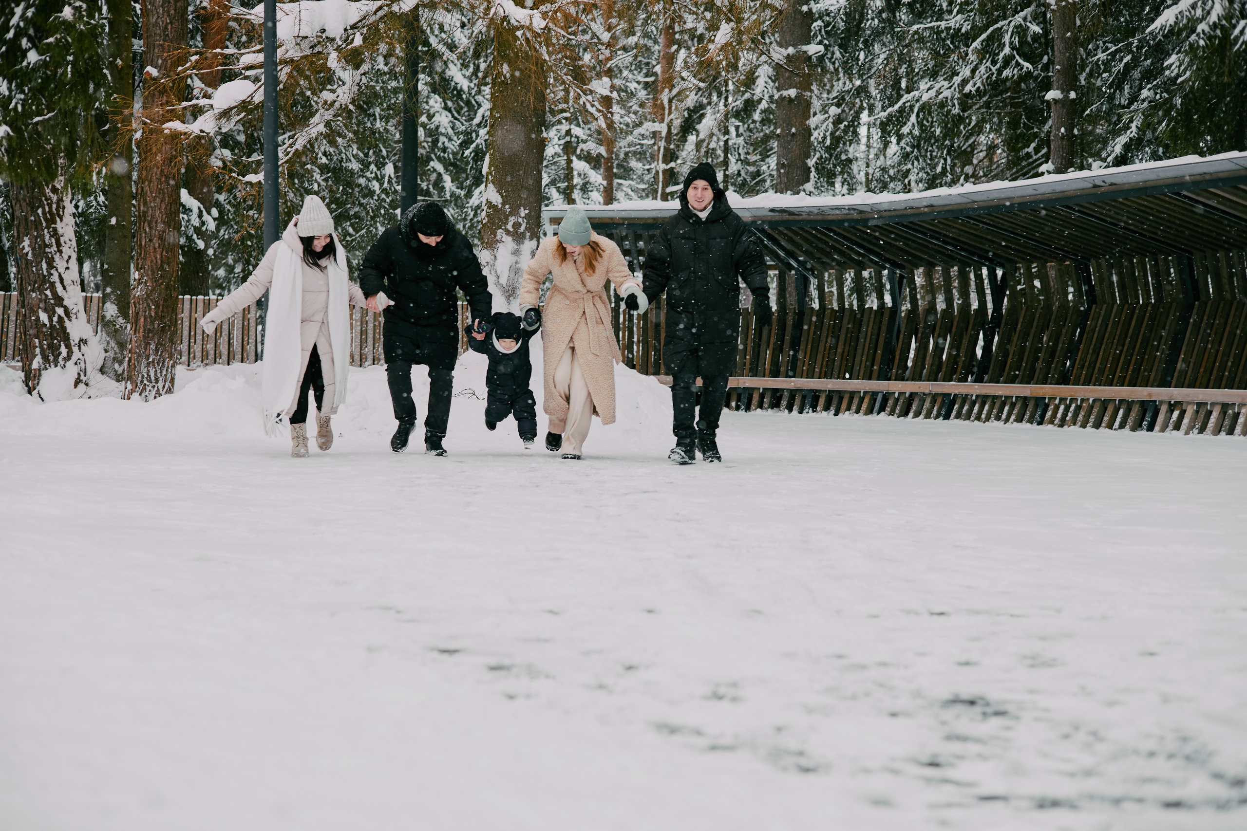 Зимний сад. Алина|Life Фотограф|Москва