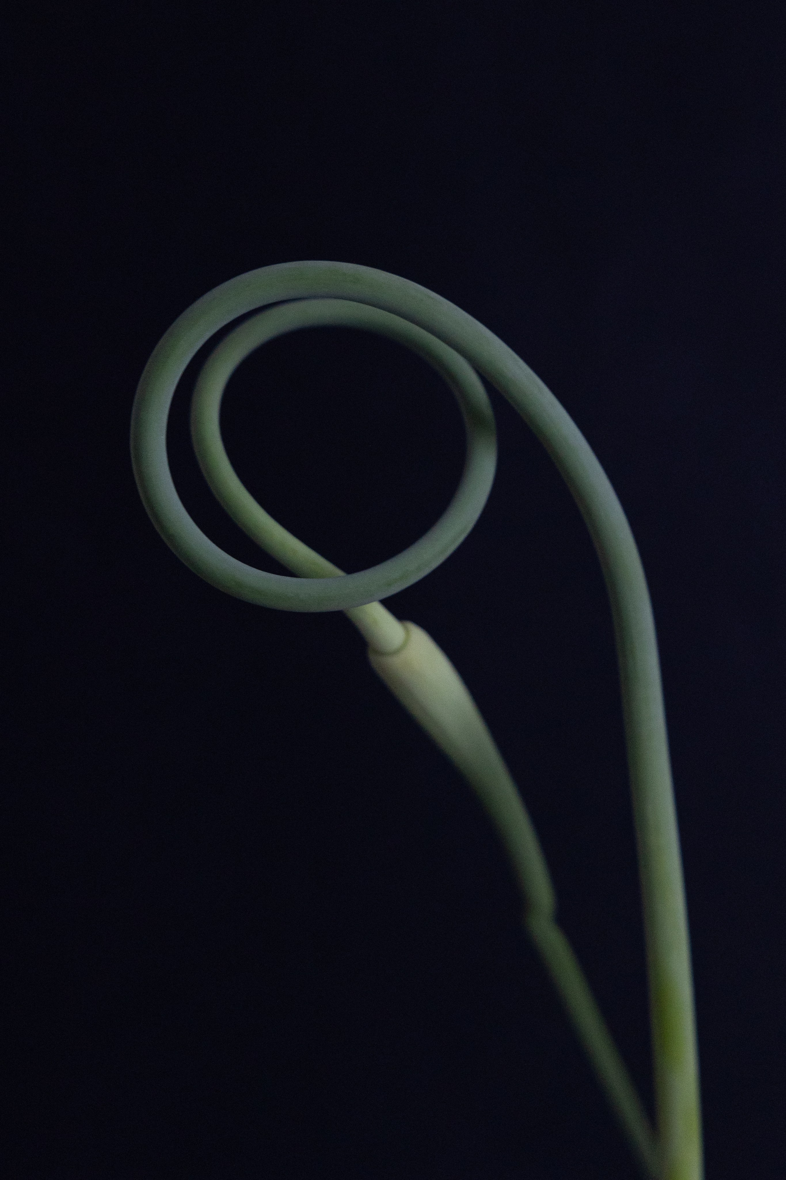 Art prints. Фотограф алина стерхова, алина стерхова фотограф, фотограф москва