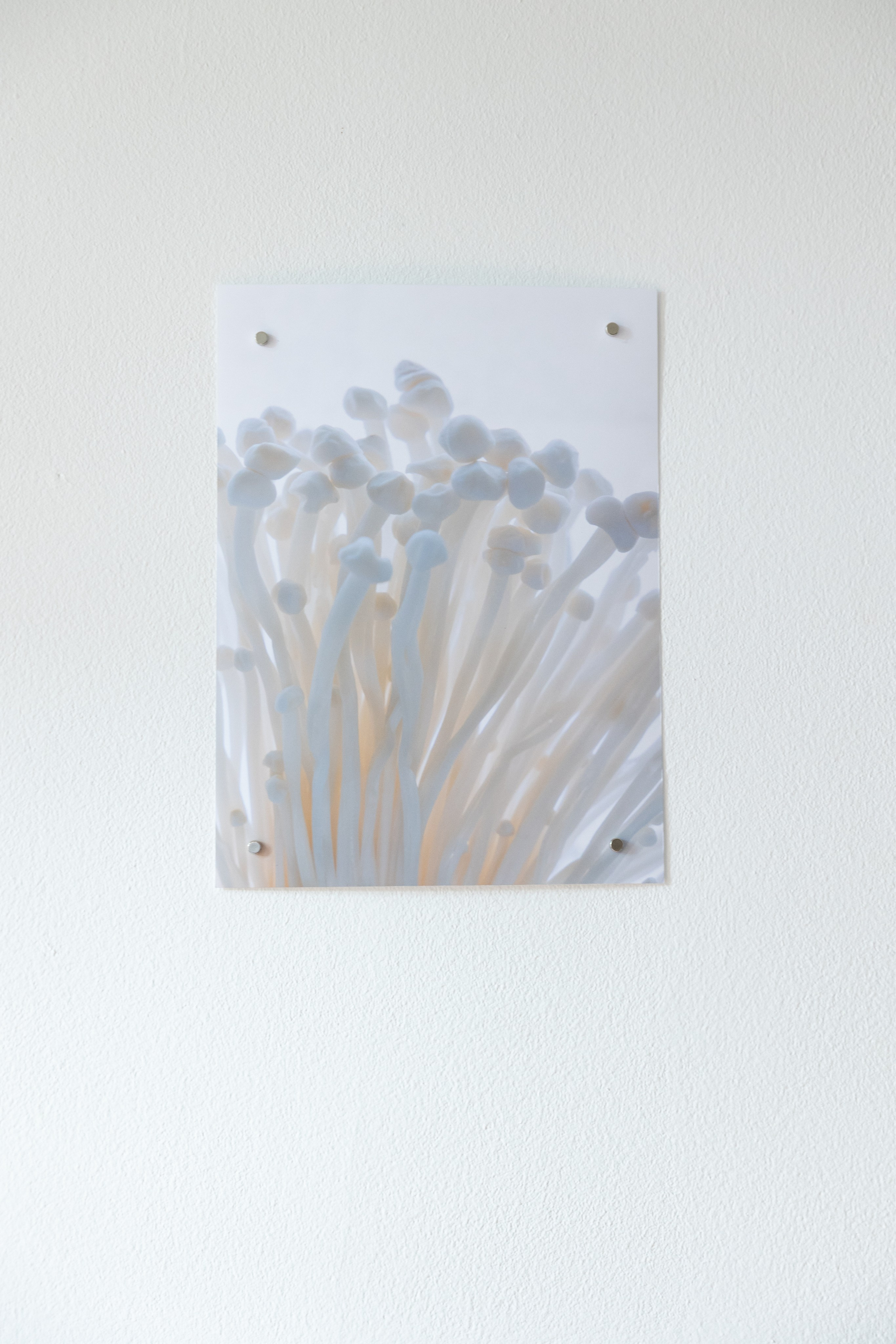 Personal exhibition Interior landscape 2025. Фотограф алина стерхова, алина стерхова фотограф, фотограф москва