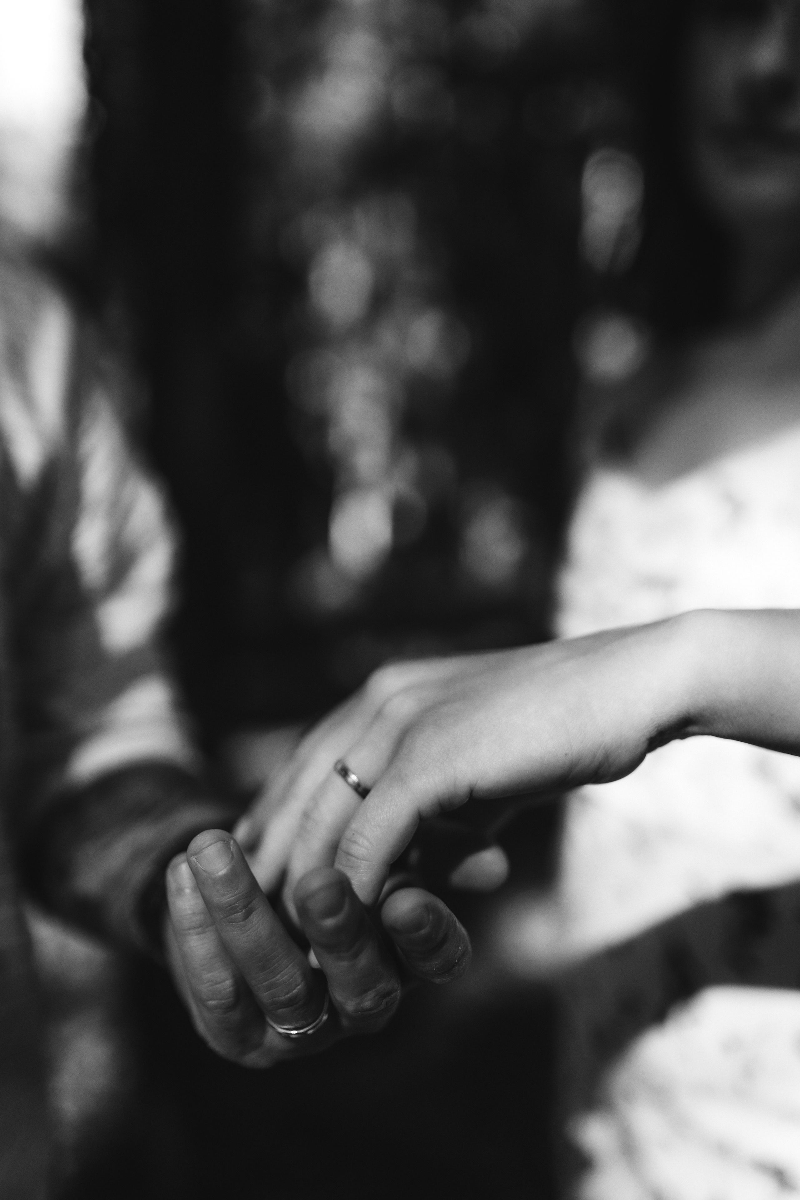 Свадьба Ольги и Максима. Klerout Photographer