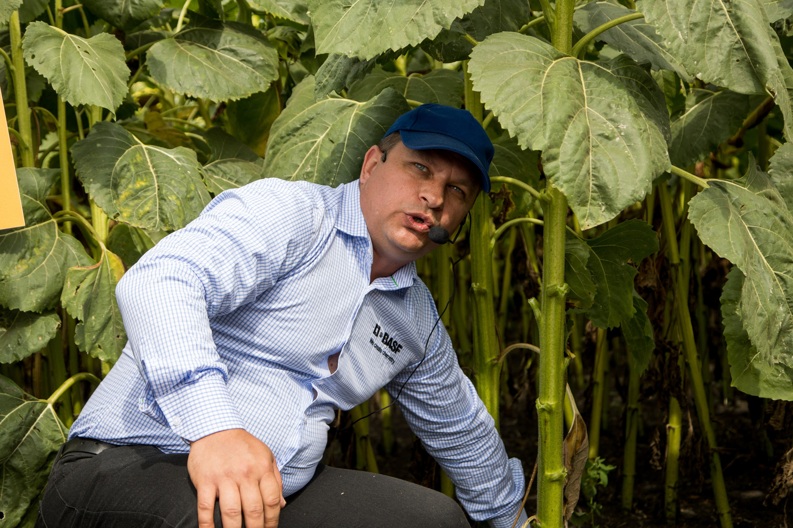 Решения для сельского хозяйства BASF 16.08.2022. Владислав Волков | Фотография и видеосъемка в Воронеже