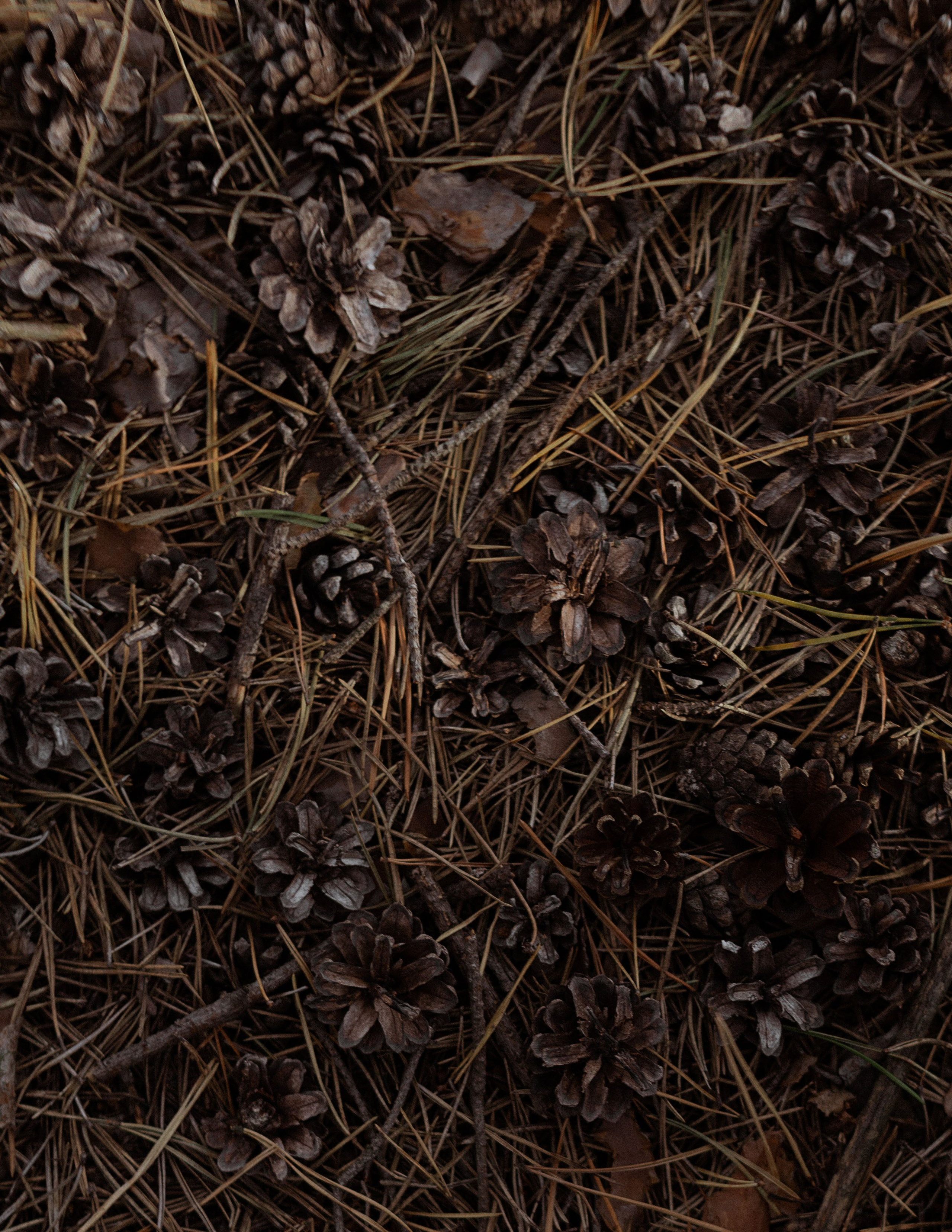 Детский портрет. Меня зовут Филатова Юлия и я фотографирую женский портрет, семейные съемки, детей в МО и Москве