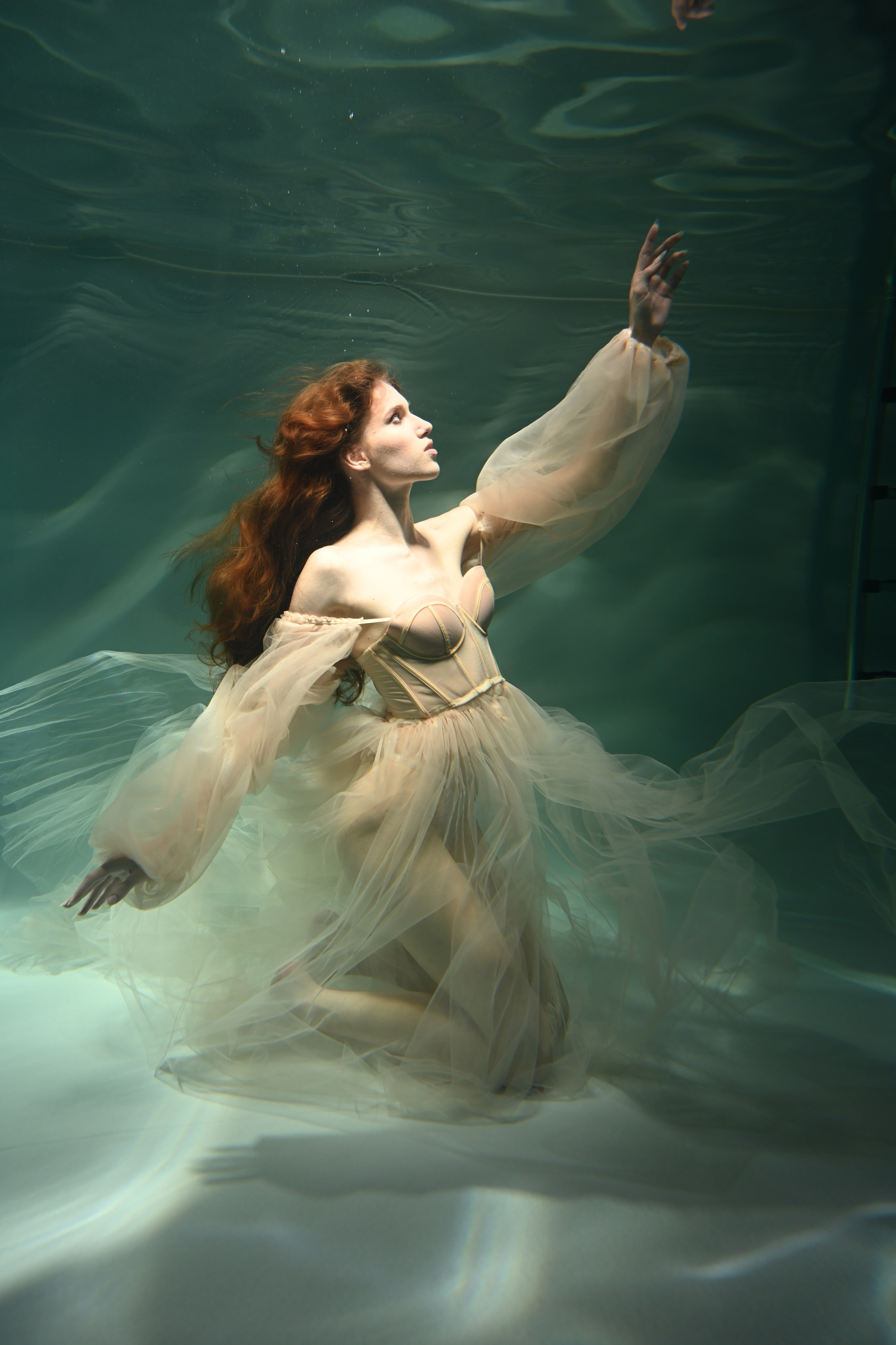 Аквариумные снимки. Фотограф в Санкт-Петербурге Сафронов Николай