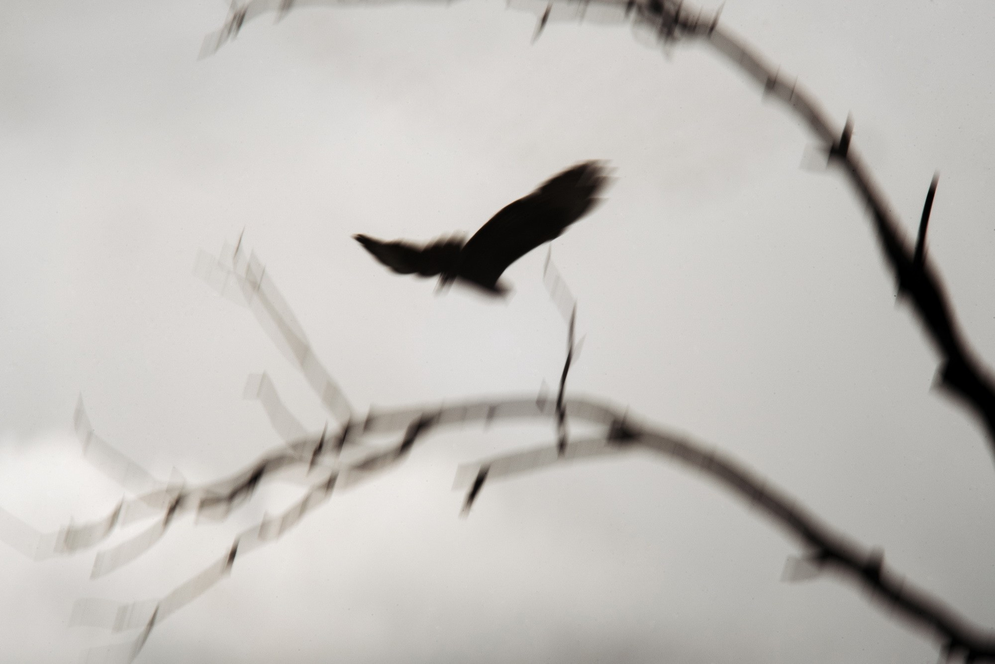 Синдром предков. Наталия Шульгина — визуальный художник, фотограф