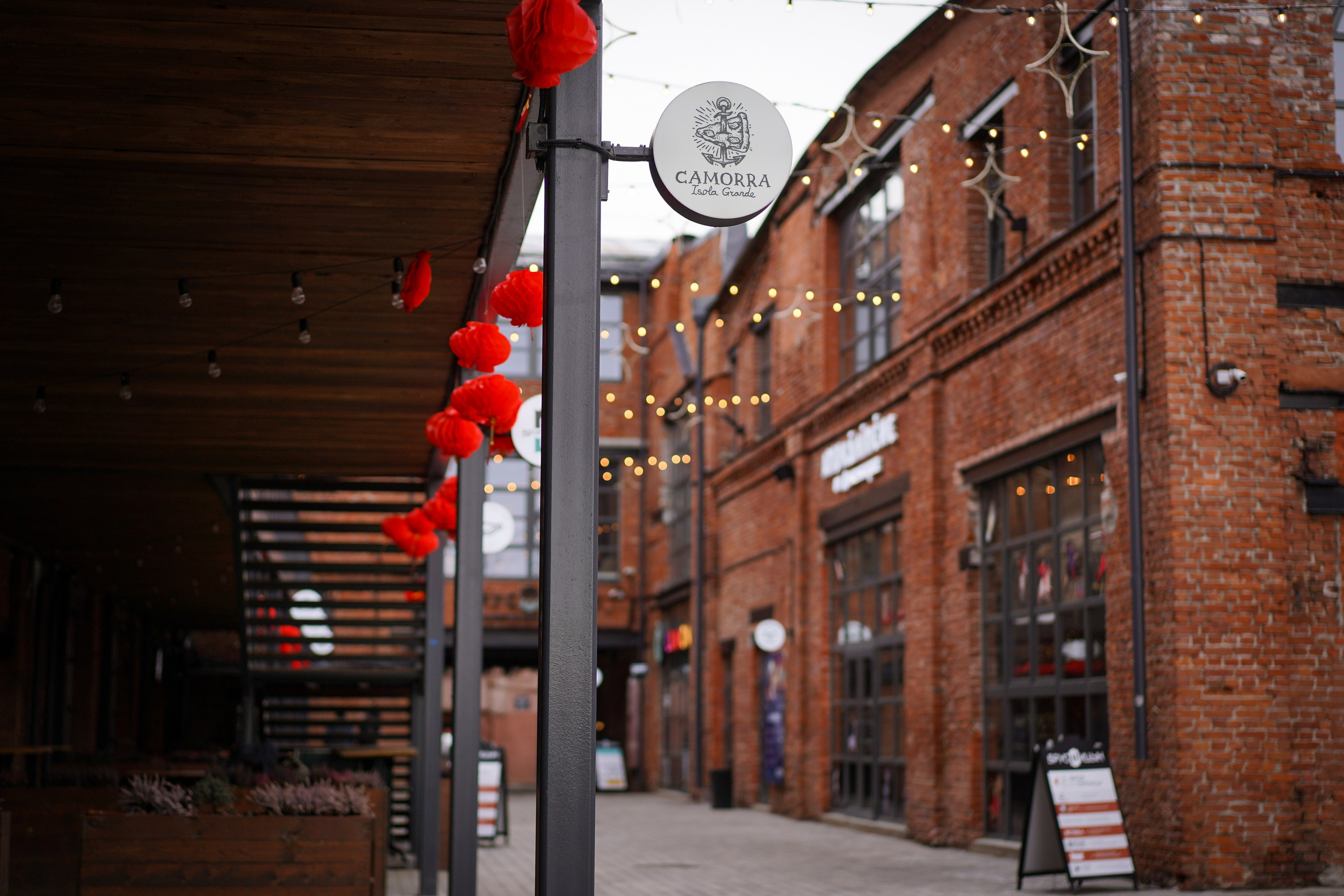 Аня Арчи и Мишель. Фотограф-анималист в Санкт-Петербурге Яна Мартынова