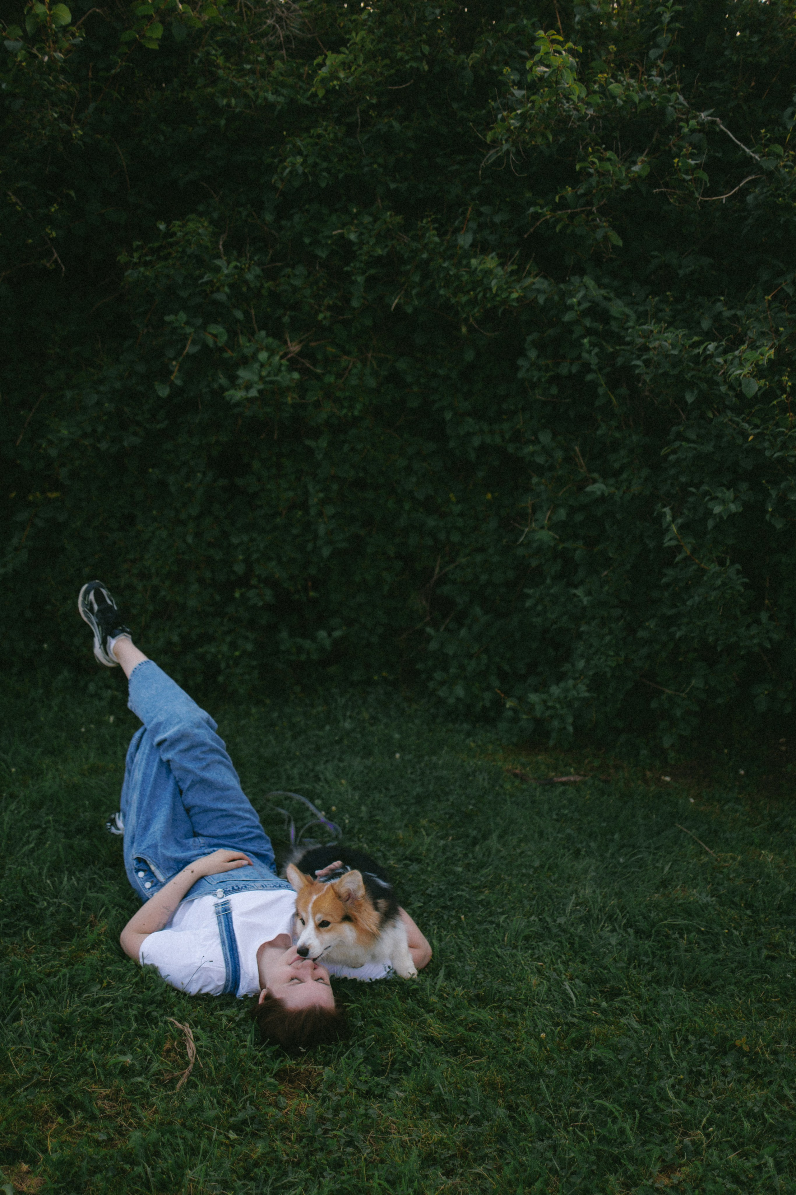 Мишель и Влада. Фотораф — анималист Мария Шистка