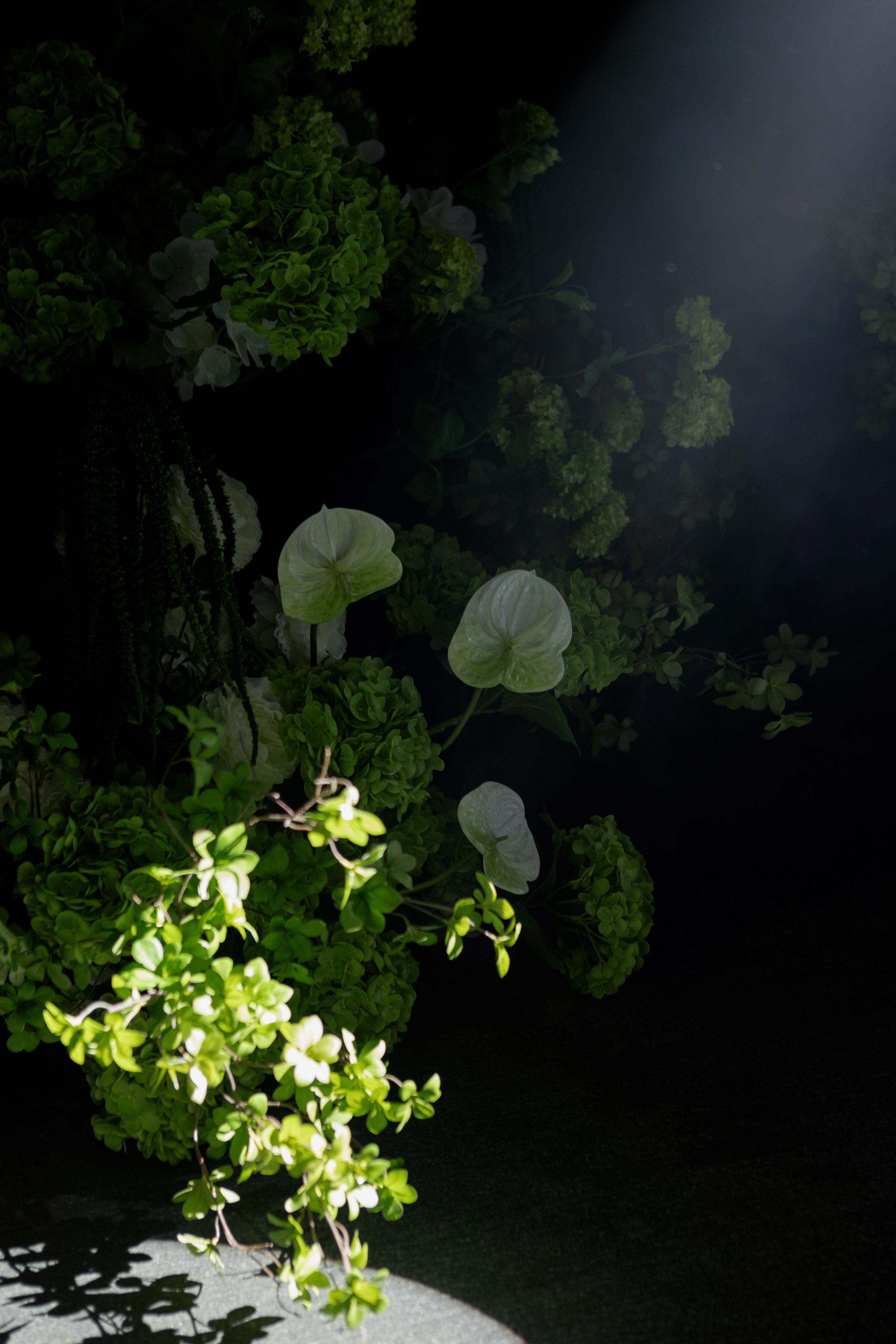 Генрих и Юлия (В данной серии сокращенный, полый день). Фотограф в Саратове Сабина Иманова