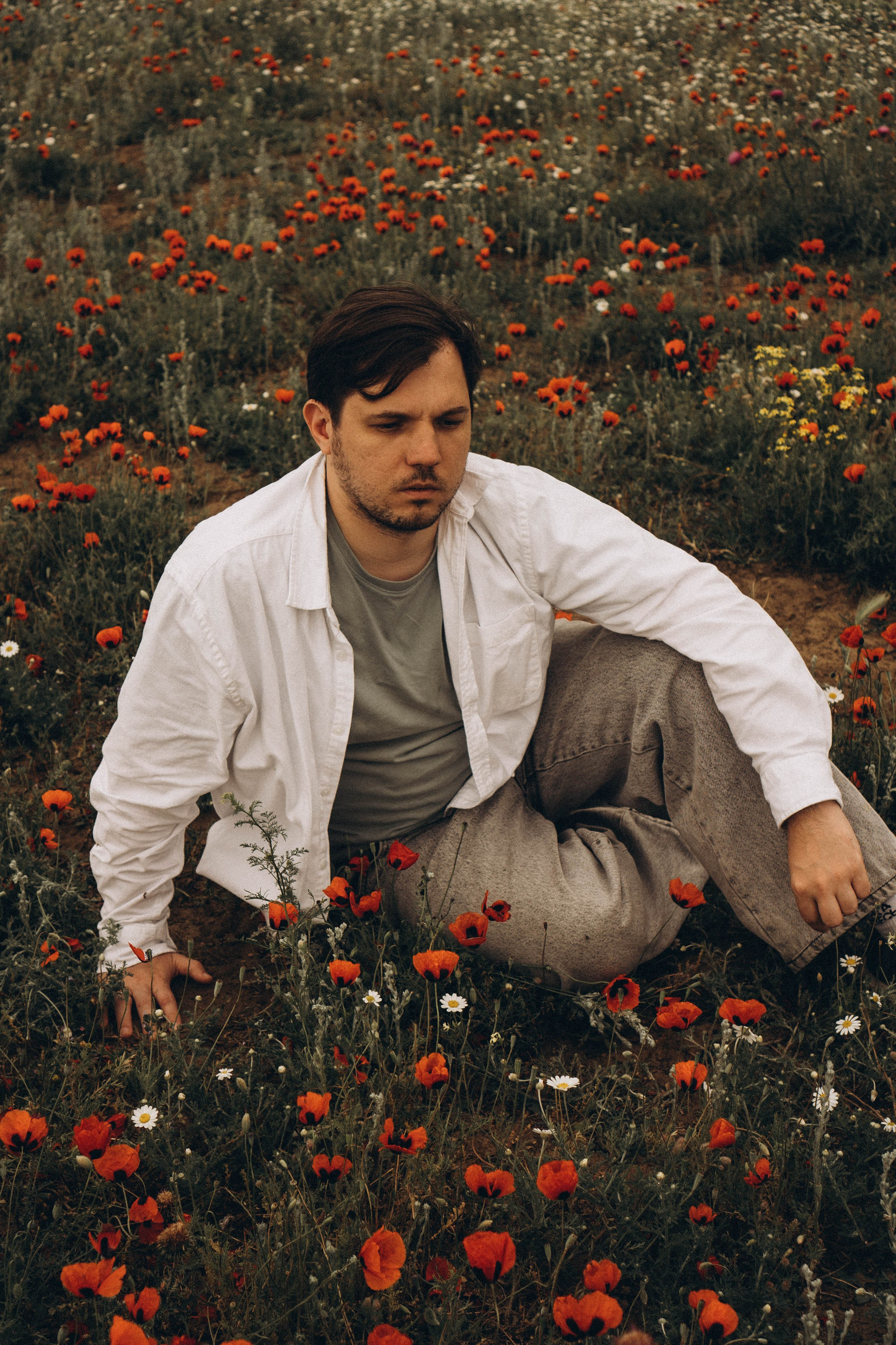 Маки. Профессиональный фотограф, Санкт-Петербург — Виктория Богомолова