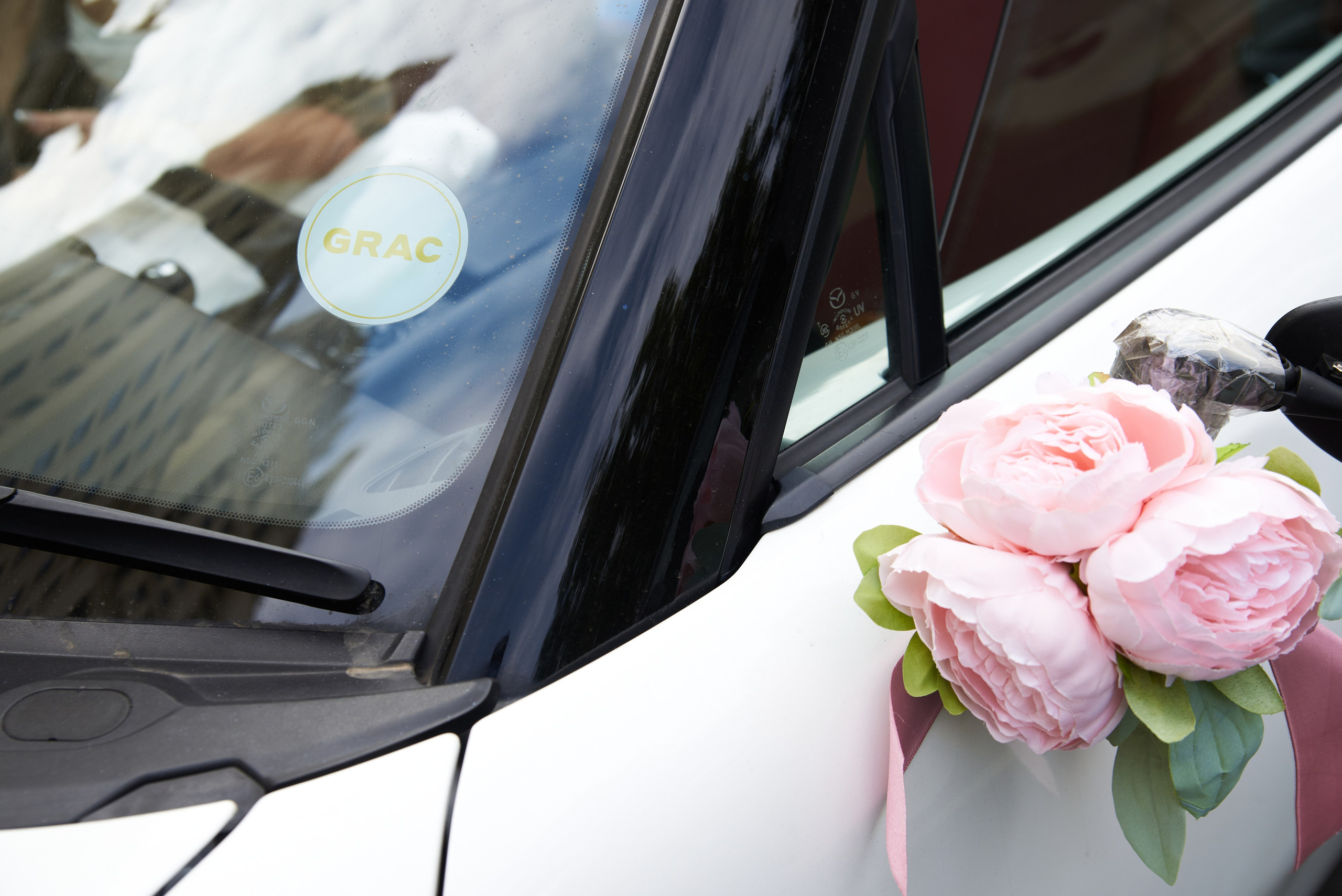 Даша & Родион. Елизавета Мальгина, фотограф в Москве