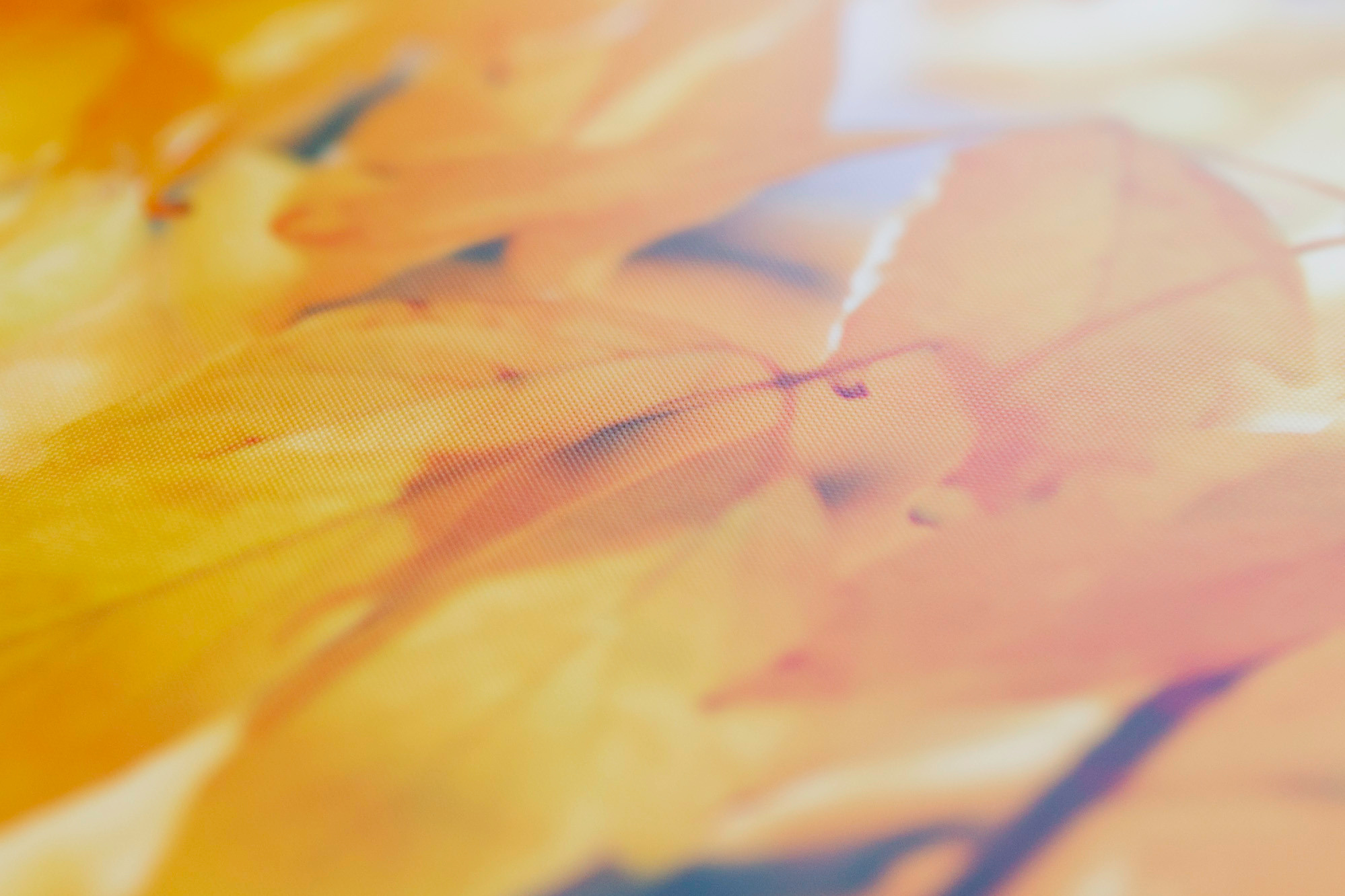 Свадьба Евгения и Елены. Свадебный и семейный фотограф Константин Аксёнов, Москва