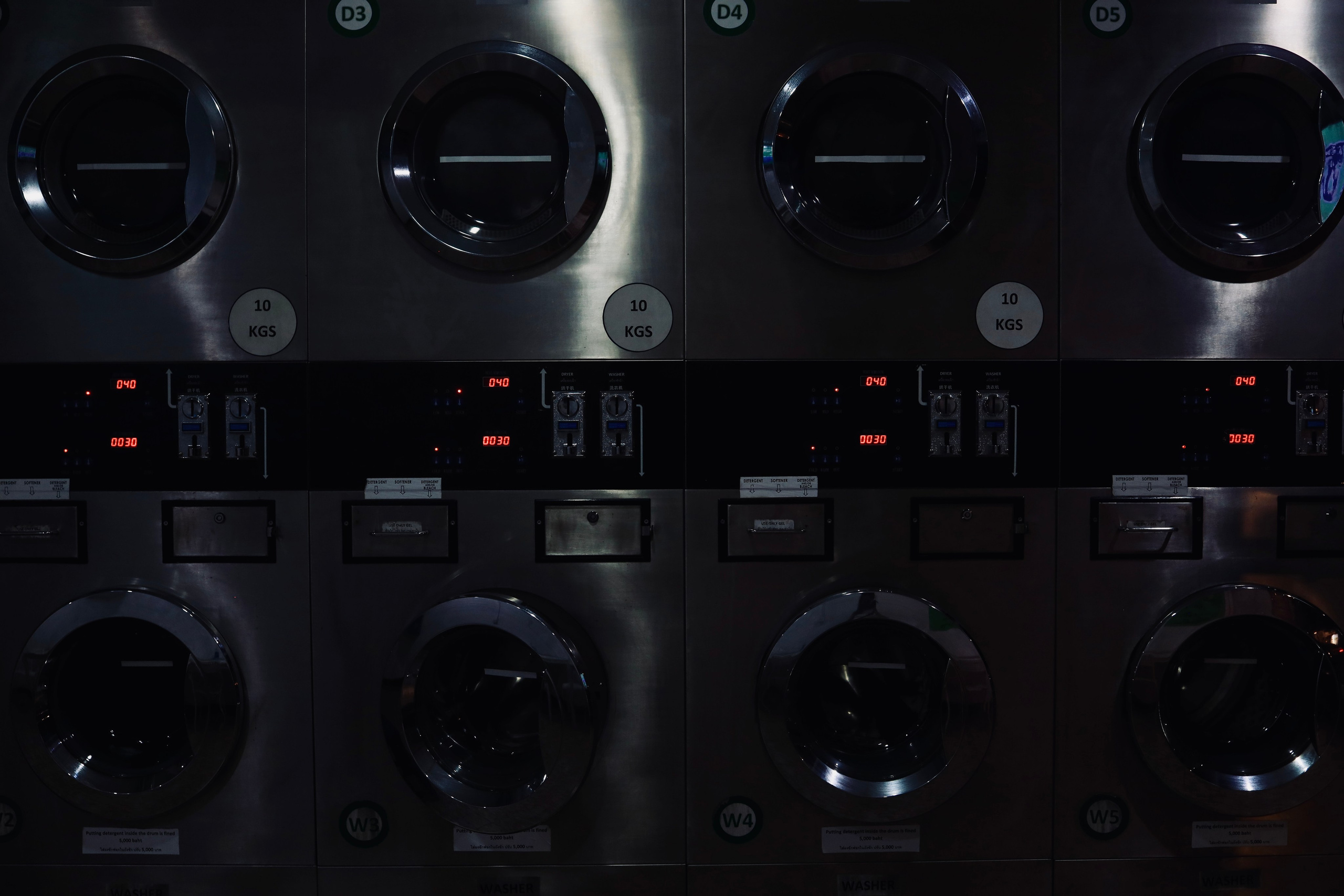 Night inhabitants of Samui Island / Thailand 2024. POLINA MÔMOT