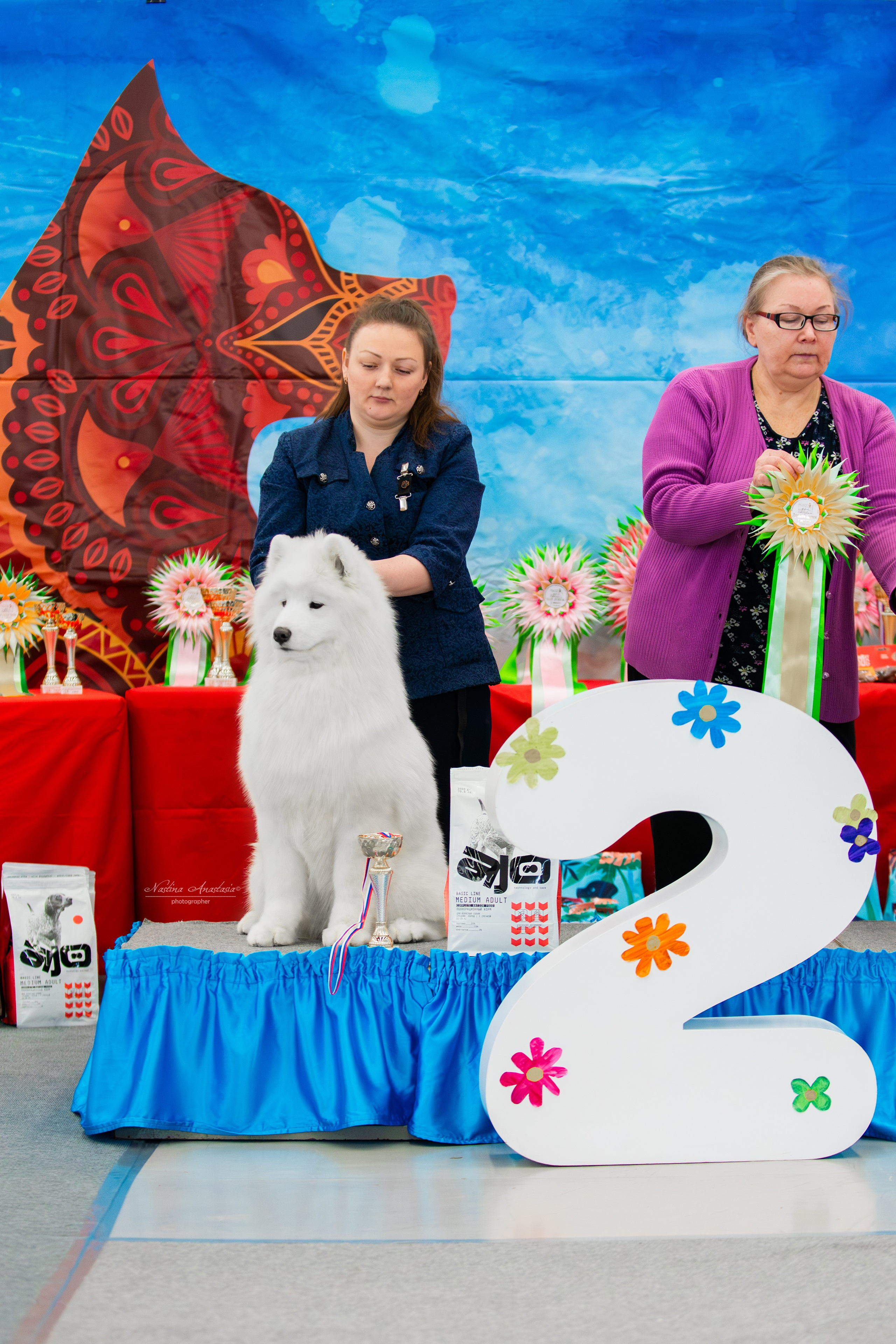 Выставки. Фотограф — Анималист