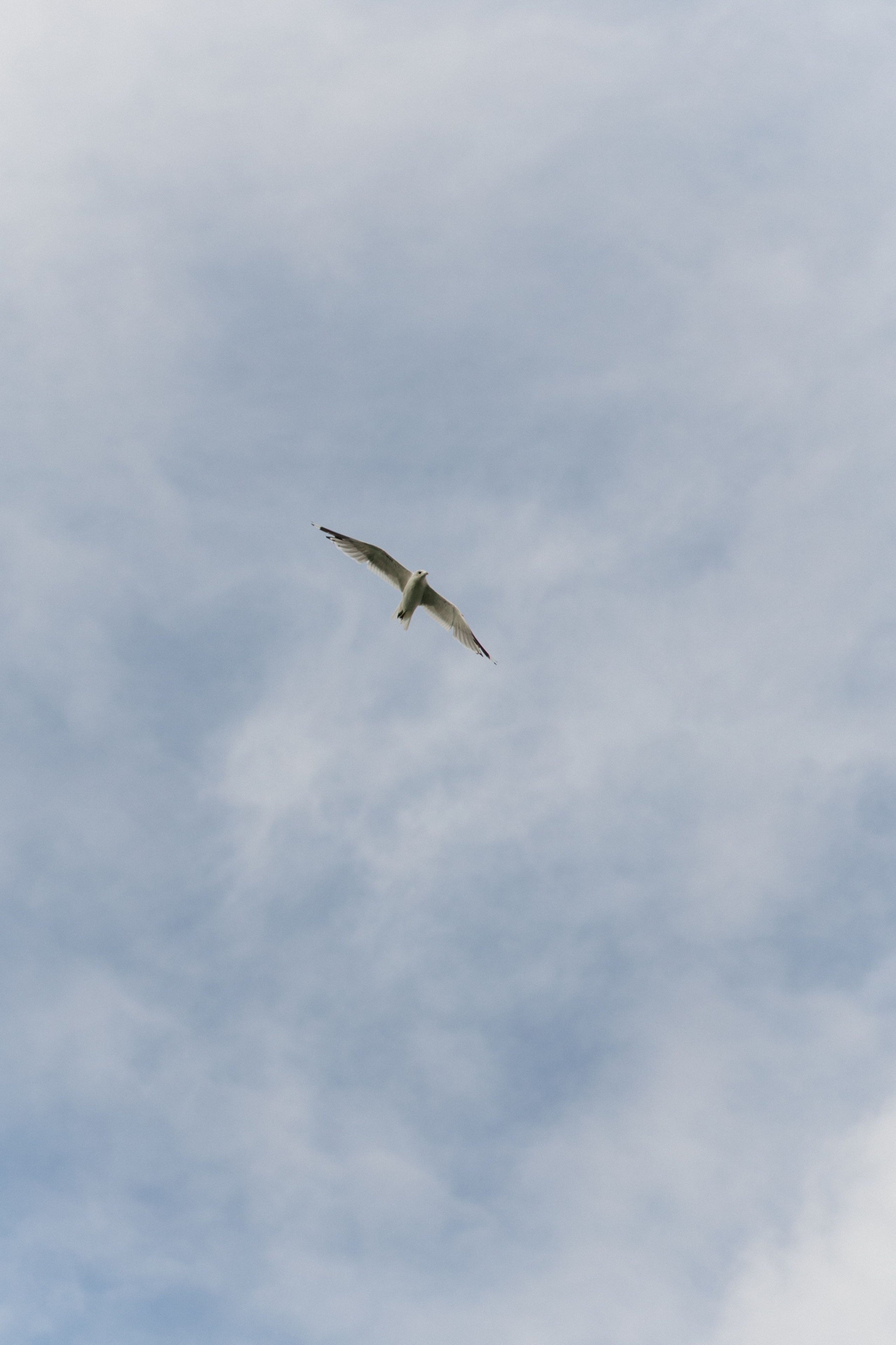 Андрей & Лера | ROBINSON CLUB. Свадебный фотограф в Минске Владислав Бабич