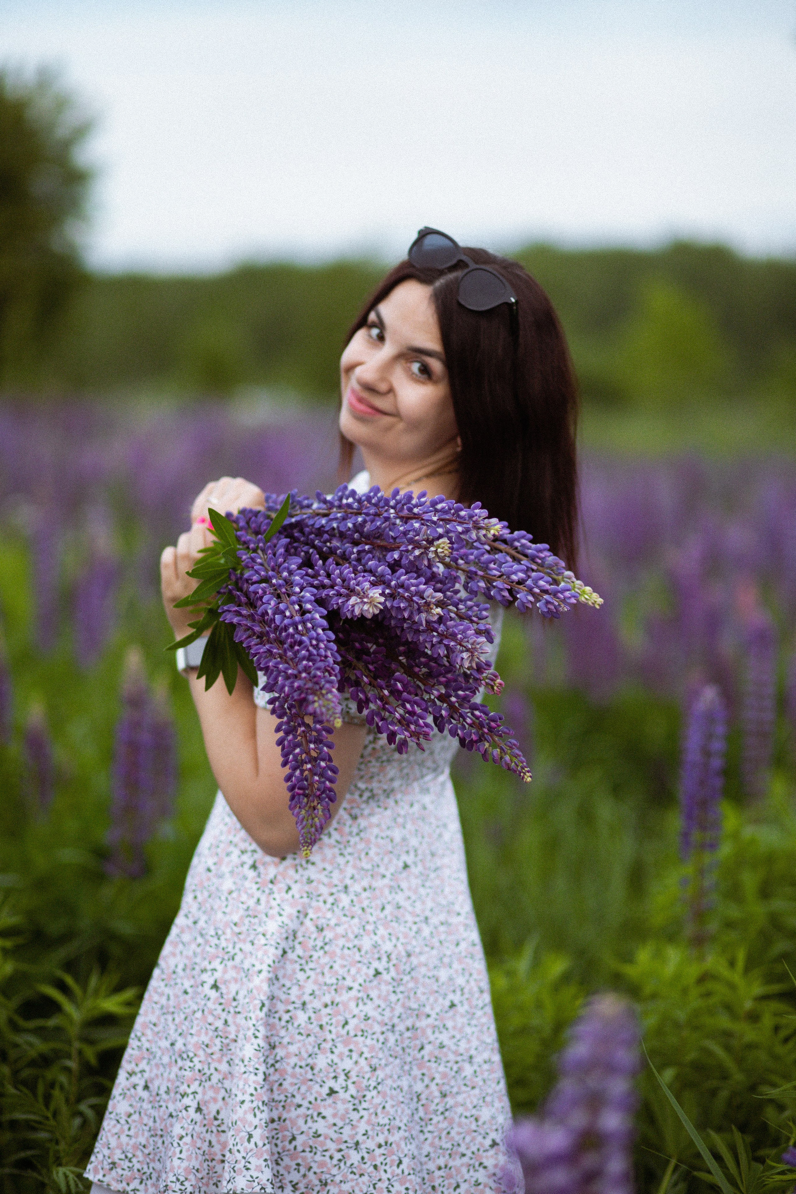 Июньские люпины. Фотограф в Москве/Санкт-Петербурге