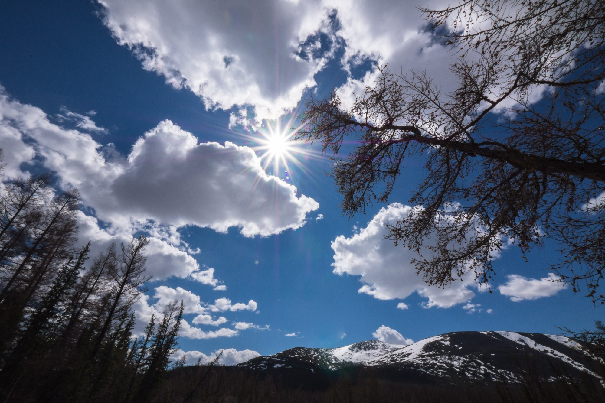 Якутия. Фотограф Алексей Скоробогатько