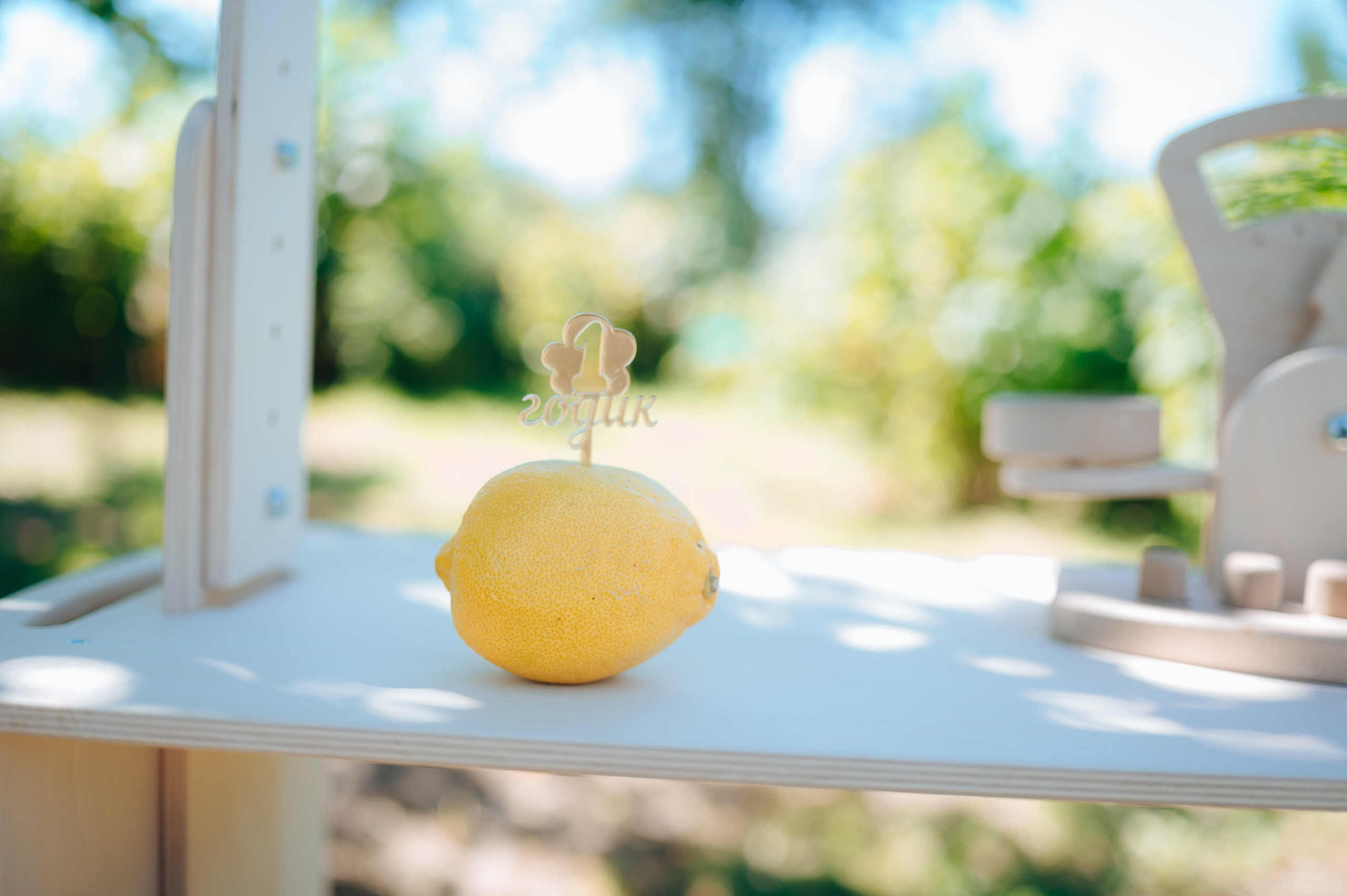 Ромашка. Детский и семейный фотограф Катерина Мишина