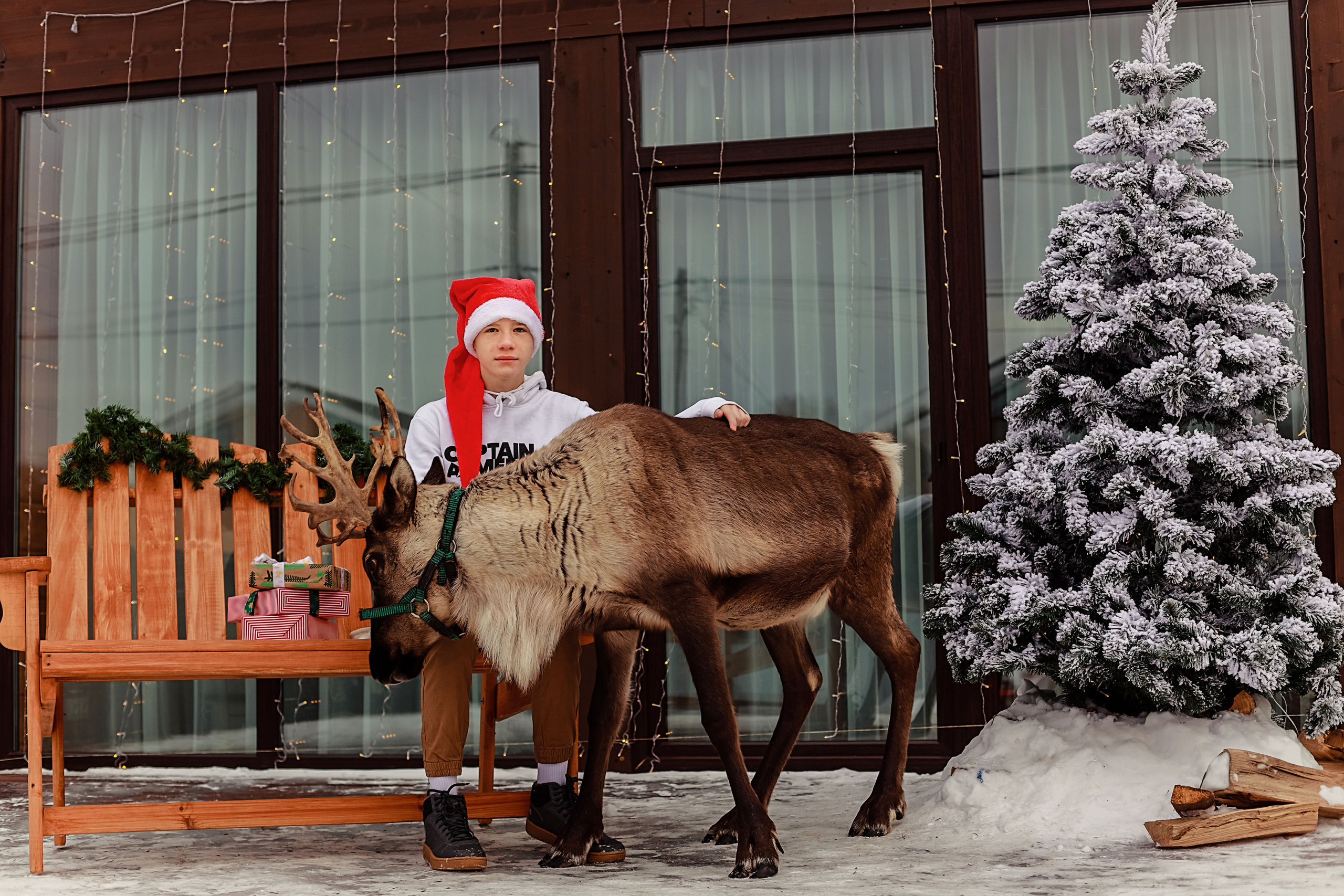 Фотосессия с северным оленем. Иванова Ирина Свадебный и семейный фотограф г. Уфа