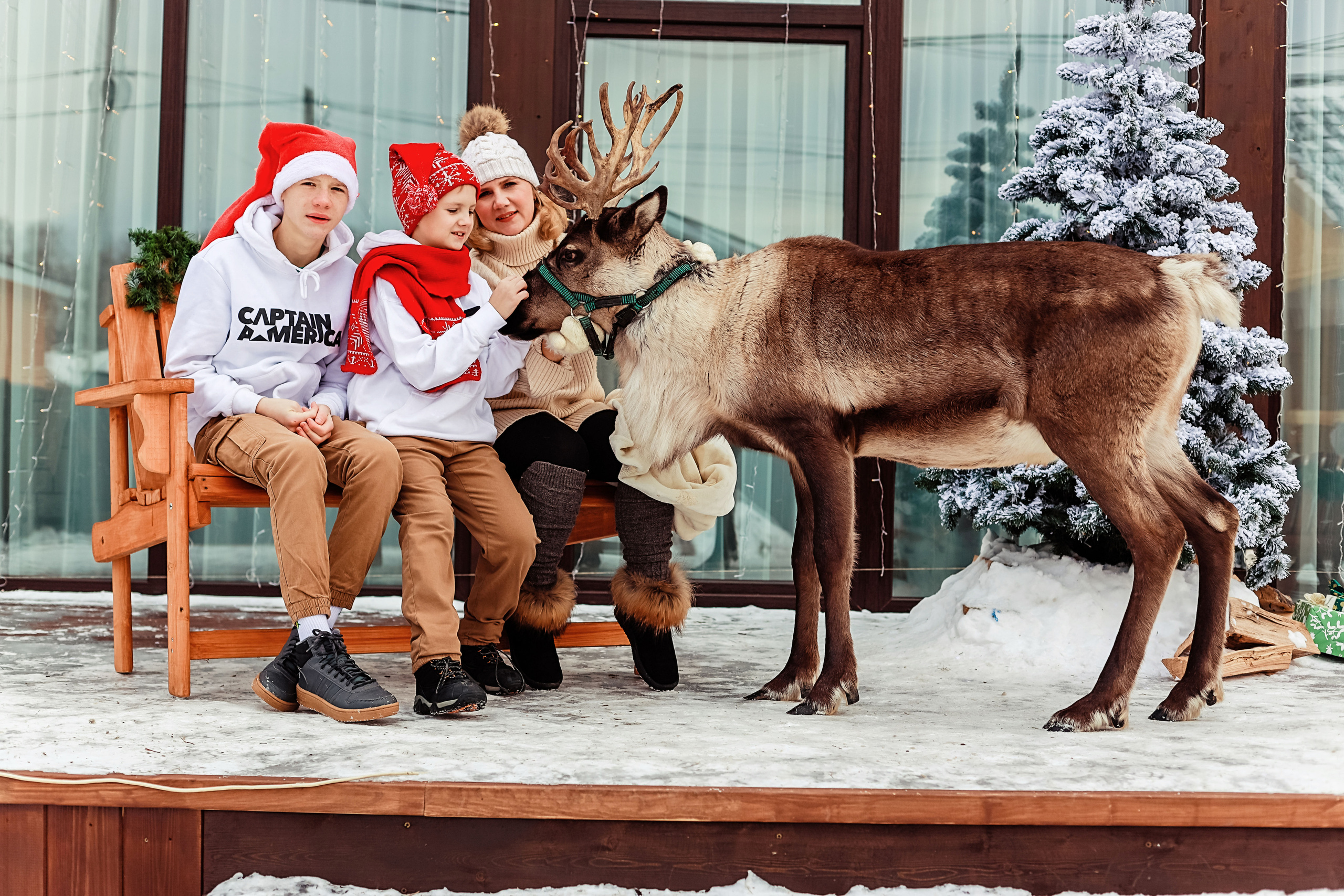 Фотосессия с северным оленем. Иванова Ирина Свадебный и семейный фотограф г. Уфа