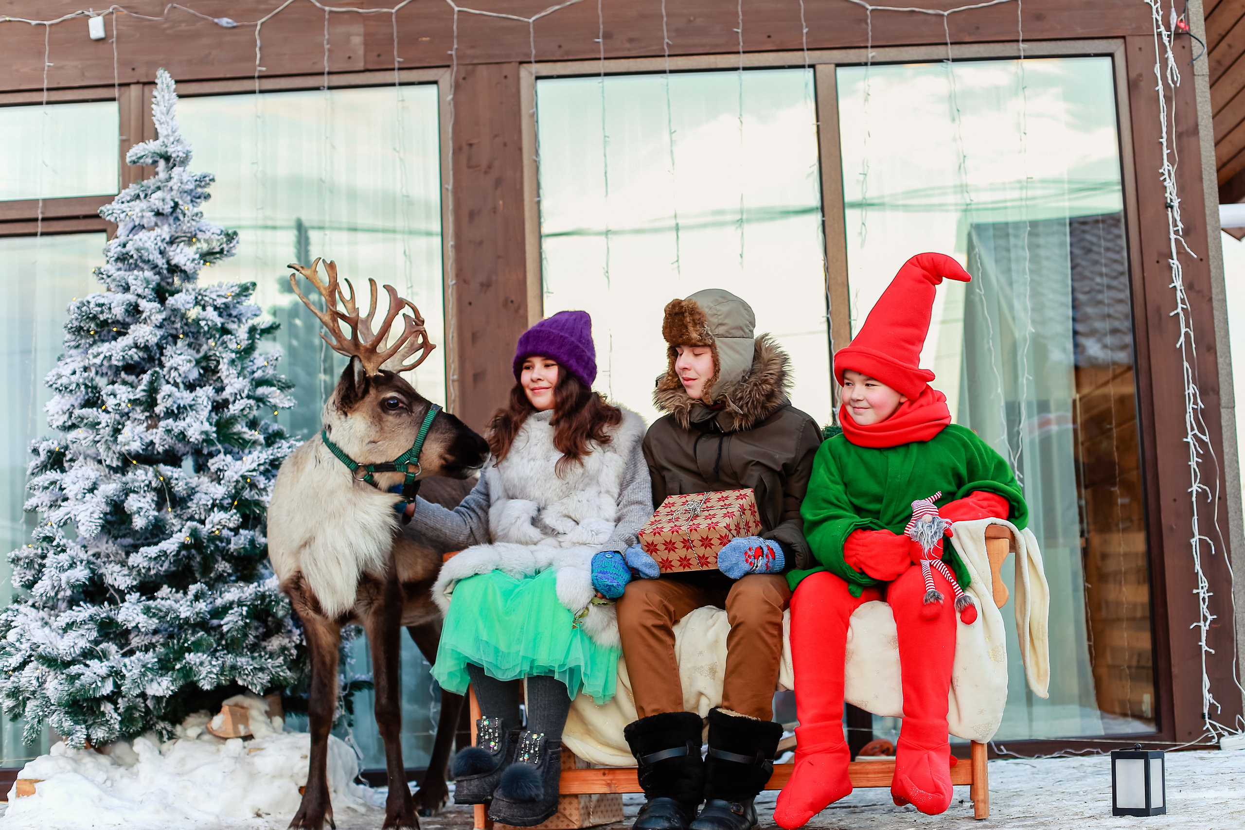 Детская фотосессия с оленем. Иванова Ирина Свадебный и семейный фотограф г. Уфа