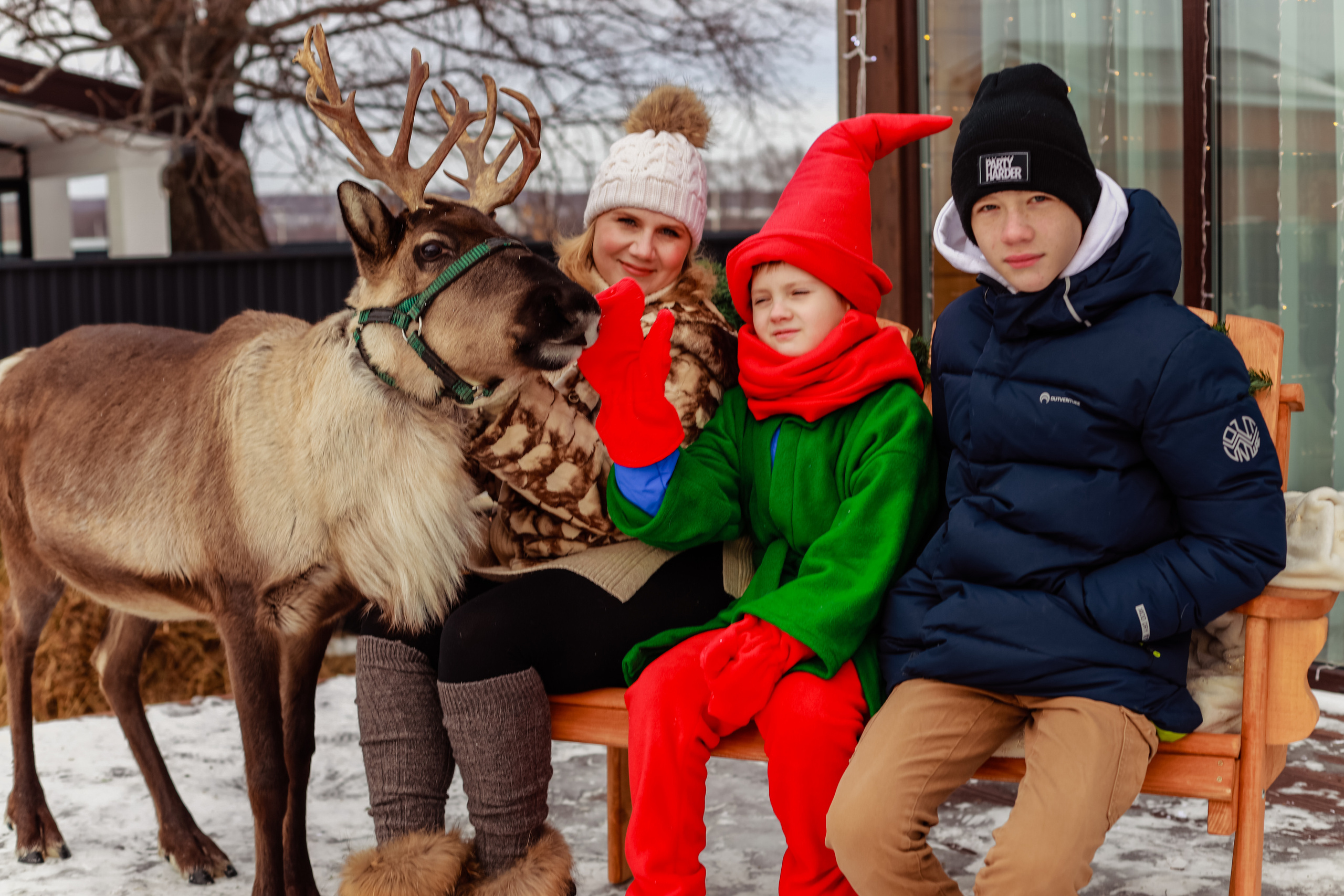 Фотосессия с северным оленем. Иванова Ирина Свадебный и семейный фотограф г. Уфа
