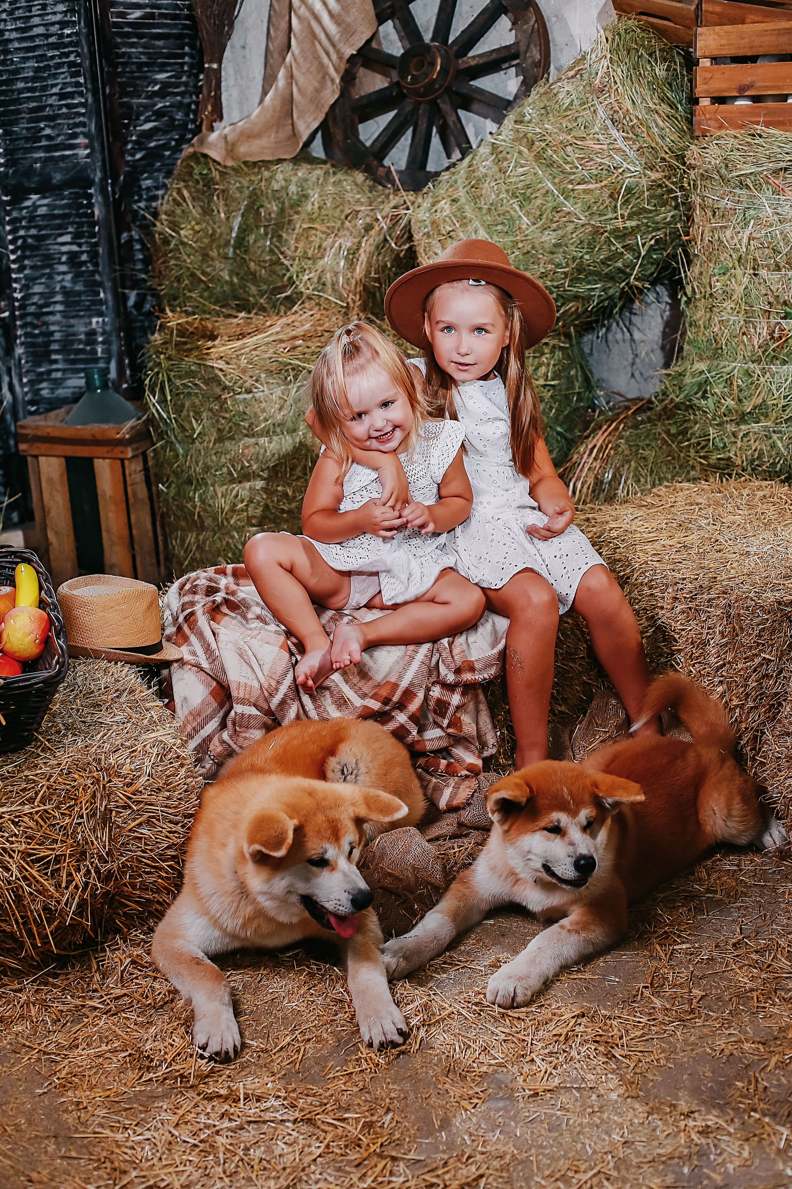 Фотосессия с собачками Акиту-Уну. Иванова Ирина Свадебный и семейный фотограф г. Уфа