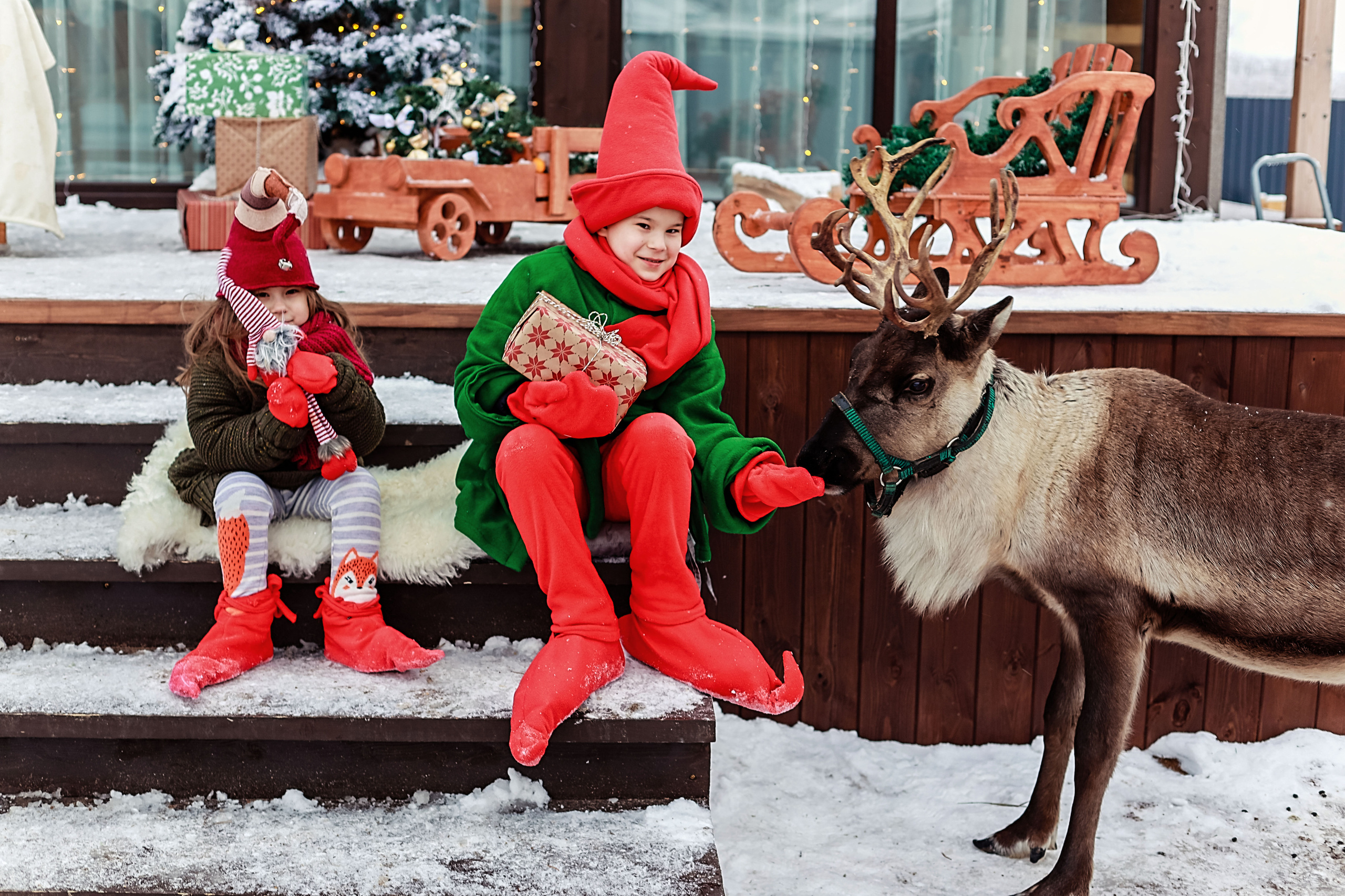 Фотосессия с оленем. 2 гномика. Иванова Ирина Свадебный и семейный фотограф г. Уфа