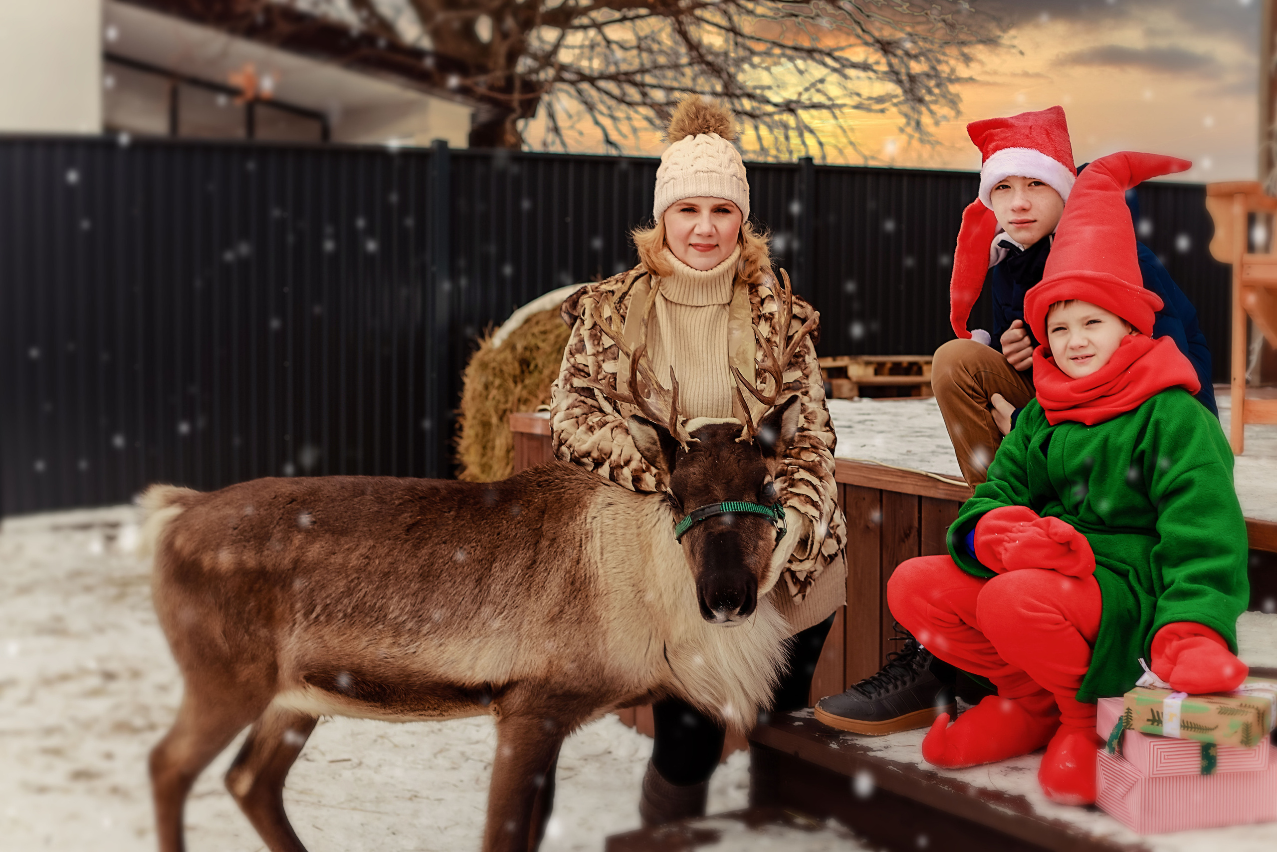 Фотосессия с северным оленем. Иванова Ирина Свадебный и семейный фотограф г. Уфа