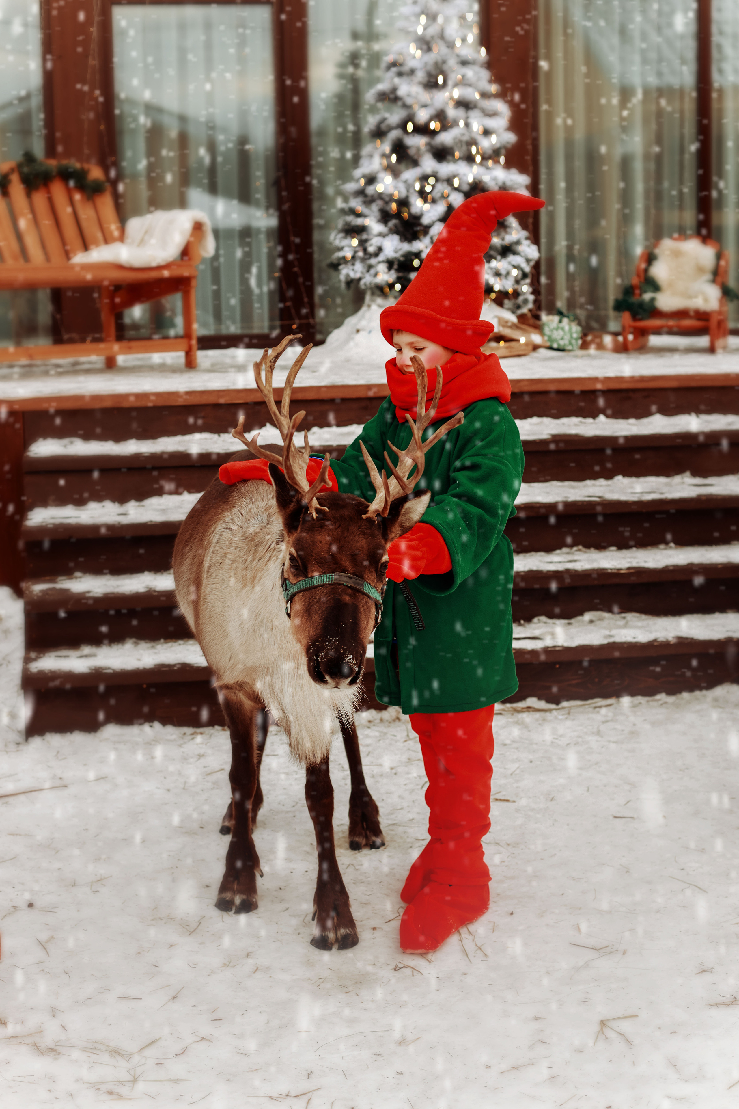 Фотосессия с северным оленем. Иванова Ирина Свадебный и семейный фотограф г. Уфа