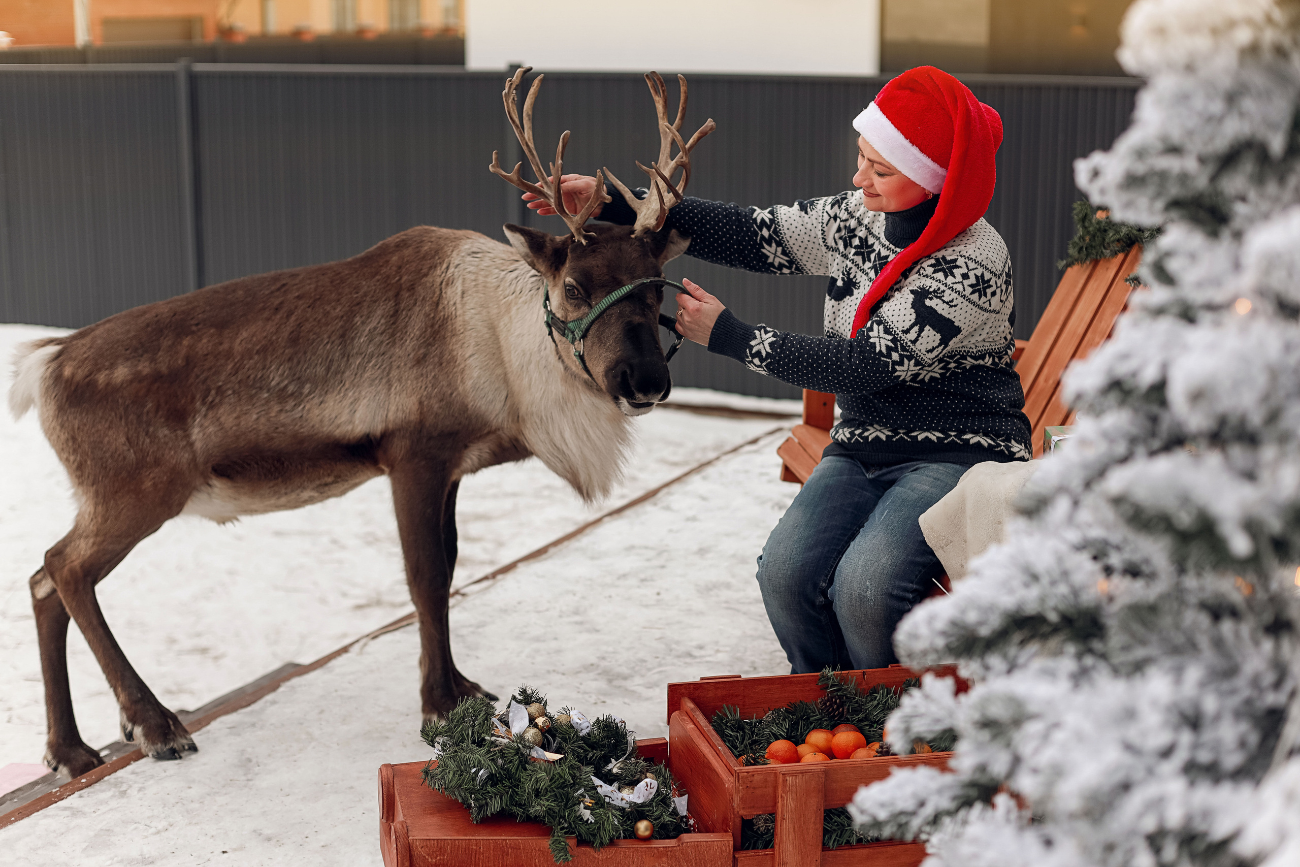 Фотосессия с оленем!. Иванова Ирина Свадебный и семейный фотограф г. Уфа