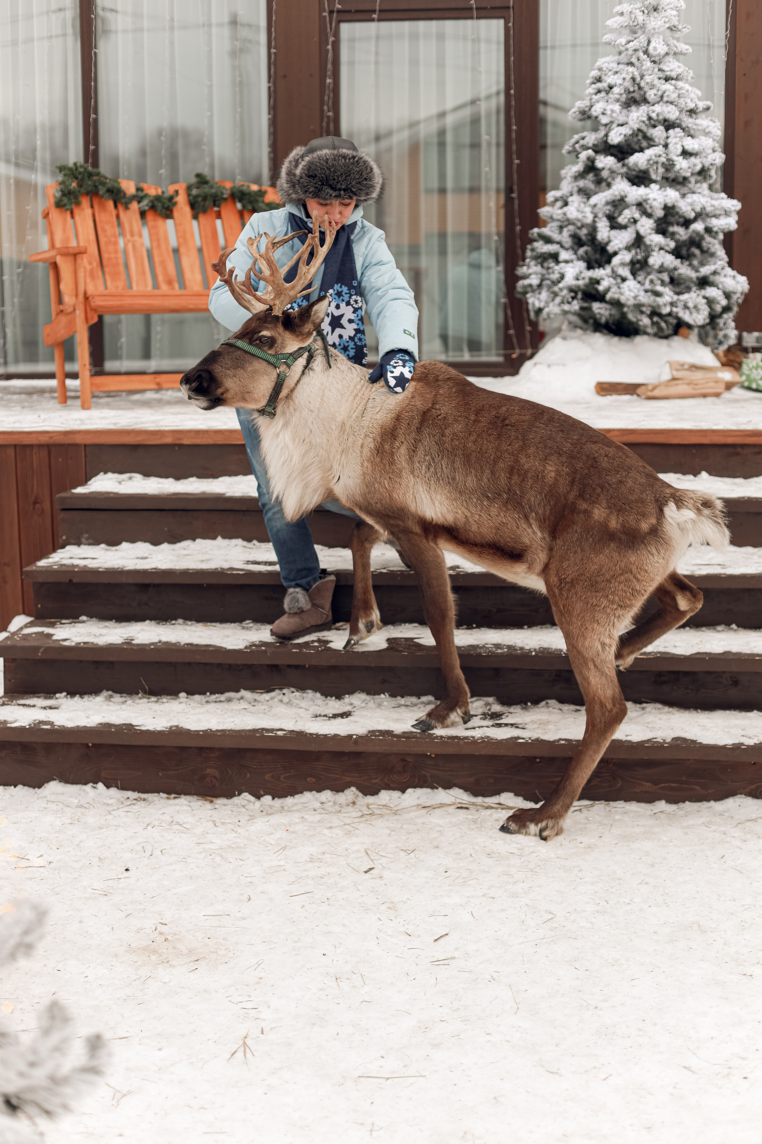 Фотосессия с оленем!. Иванова Ирина Свадебный и семейный фотограф г. Уфа