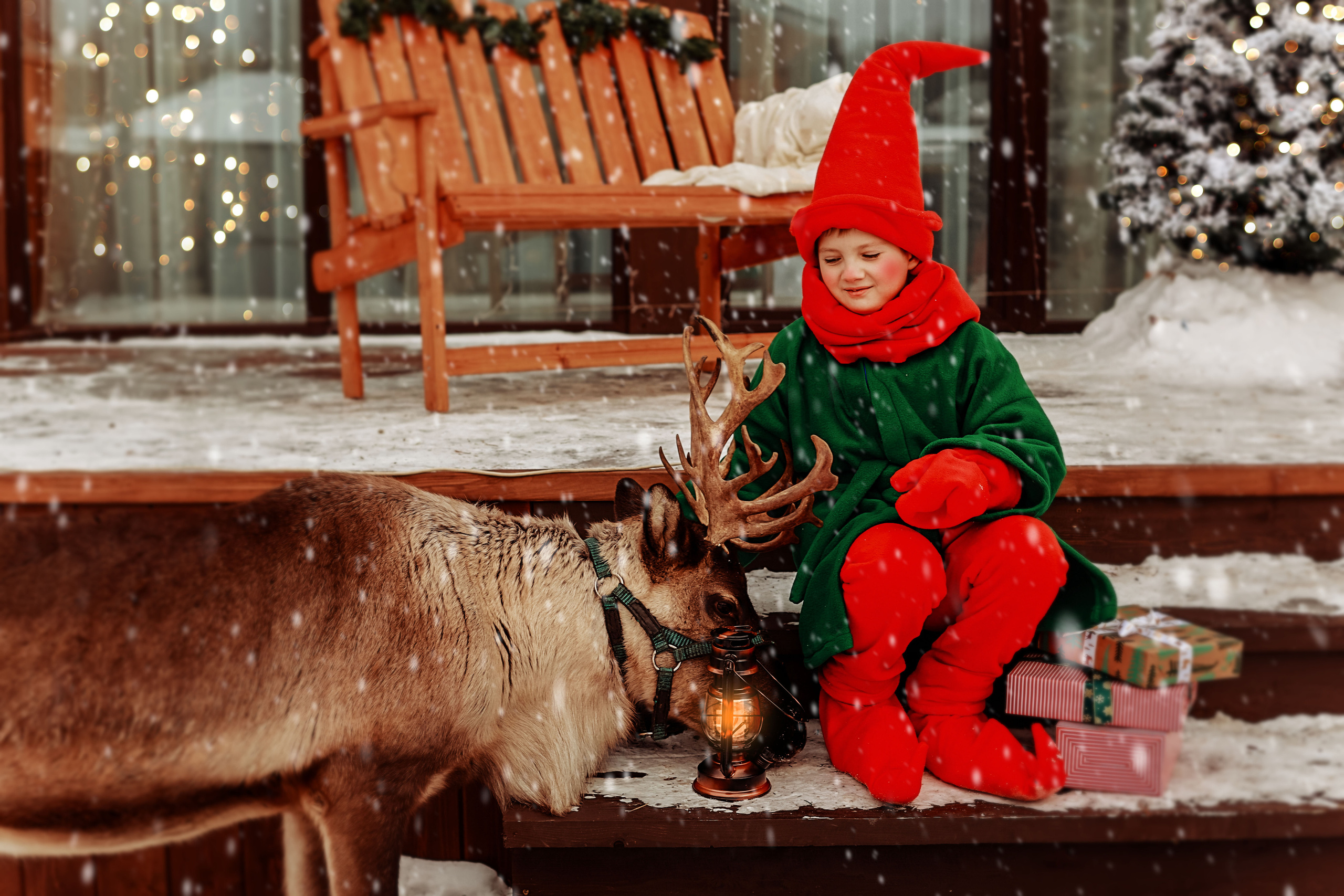 Фотосессия с северным оленем. Иванова Ирина Свадебный и семейный фотограф г. Уфа